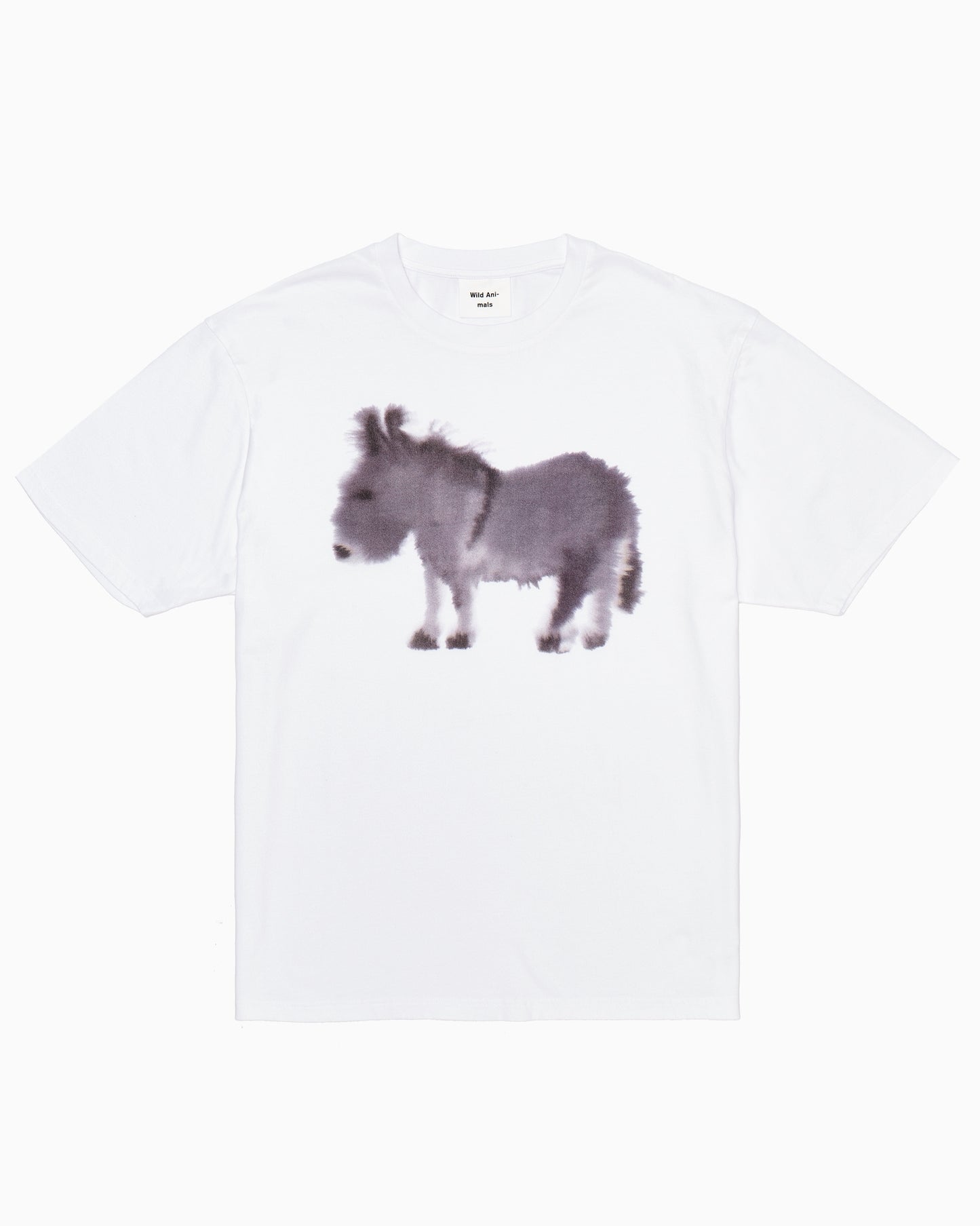 Donkey