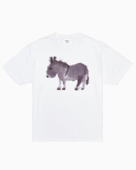 Donkey