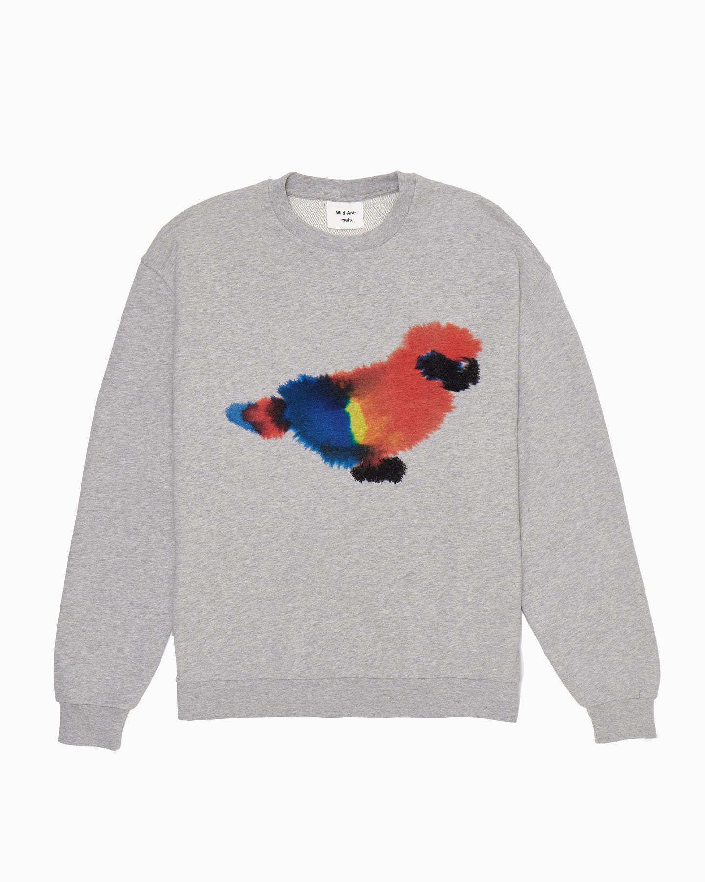 Parrot