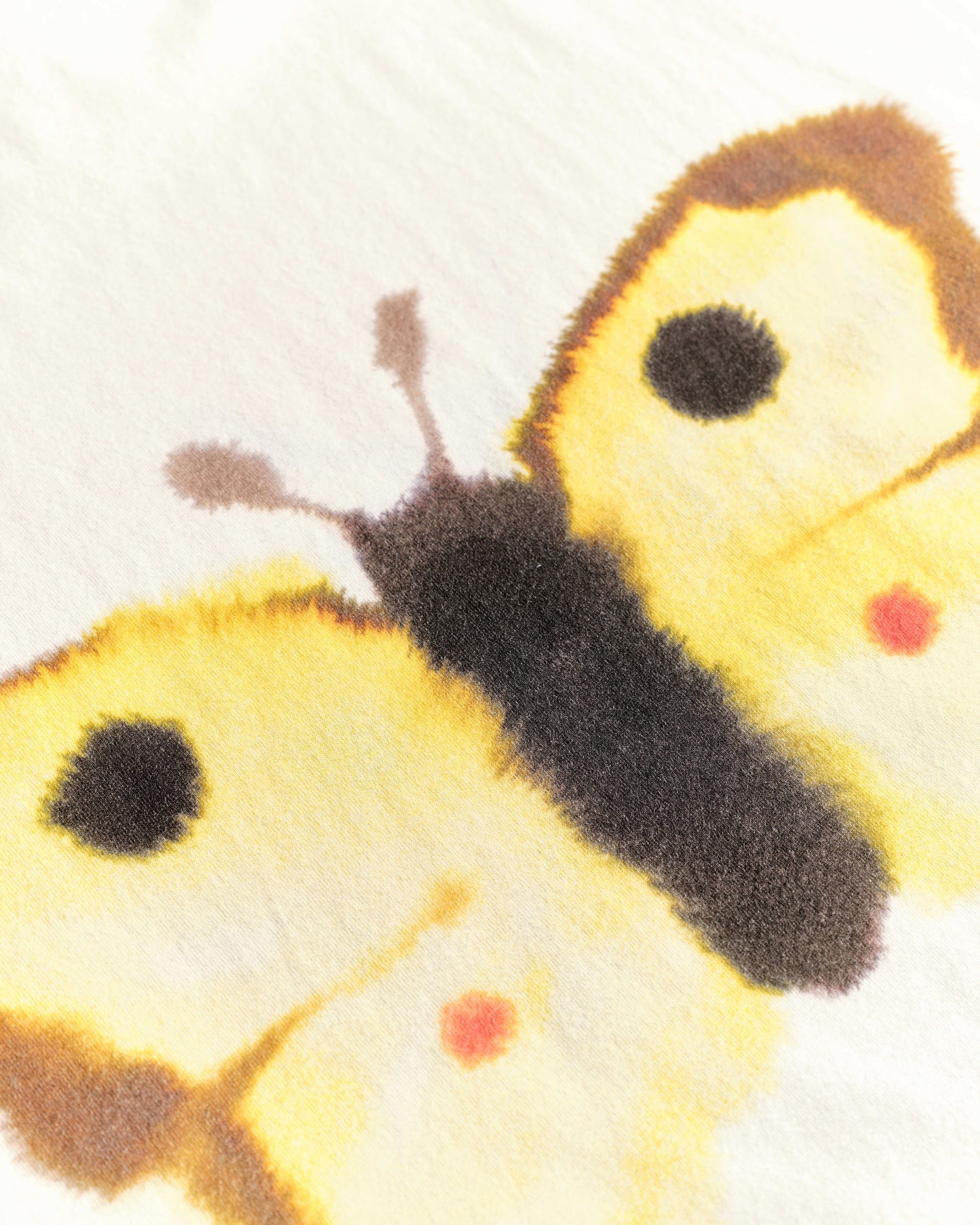 Butterfly, butterfly