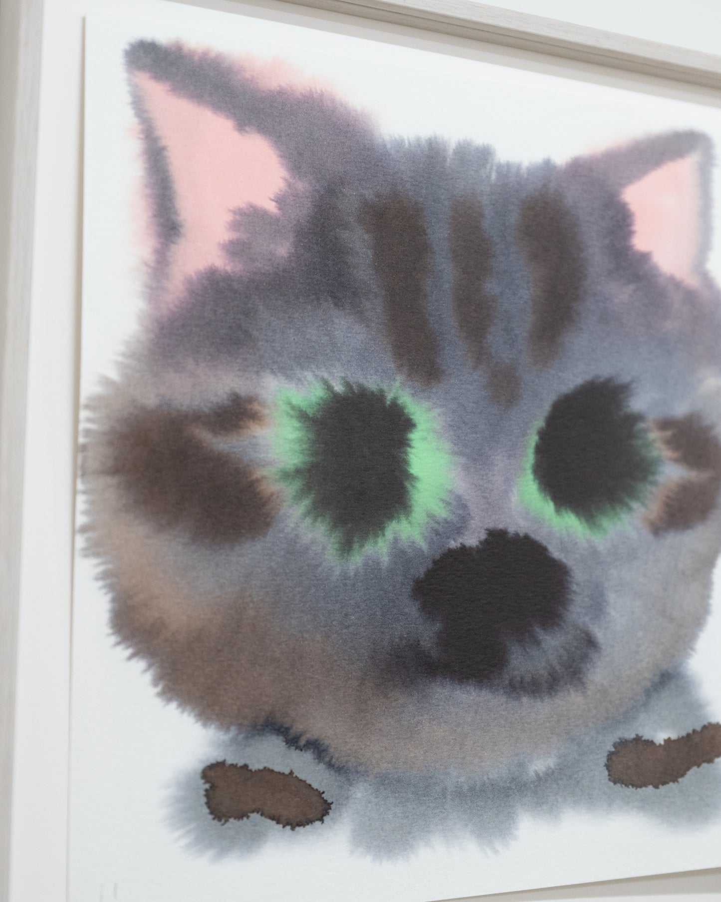 Cat 11