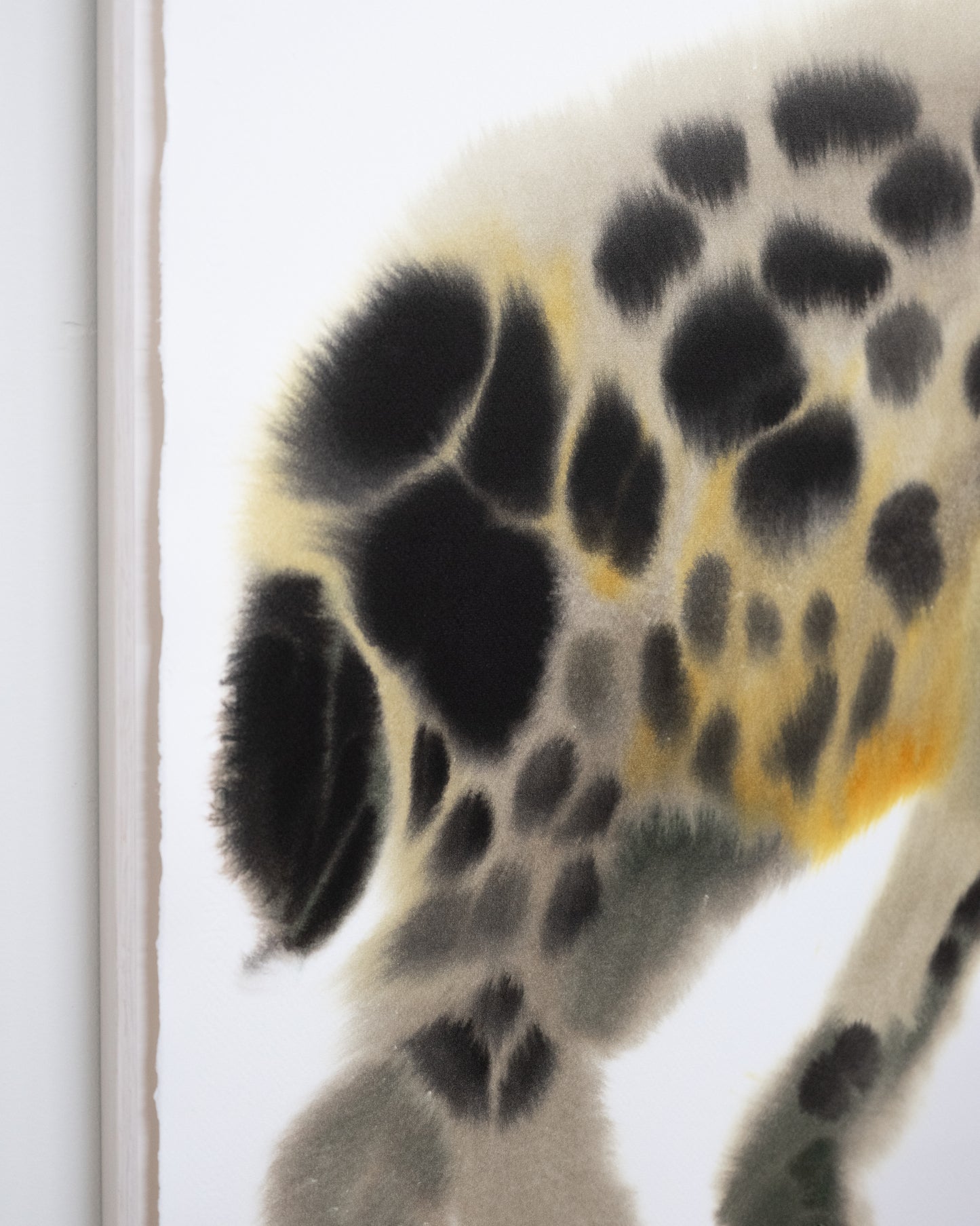 Hyena