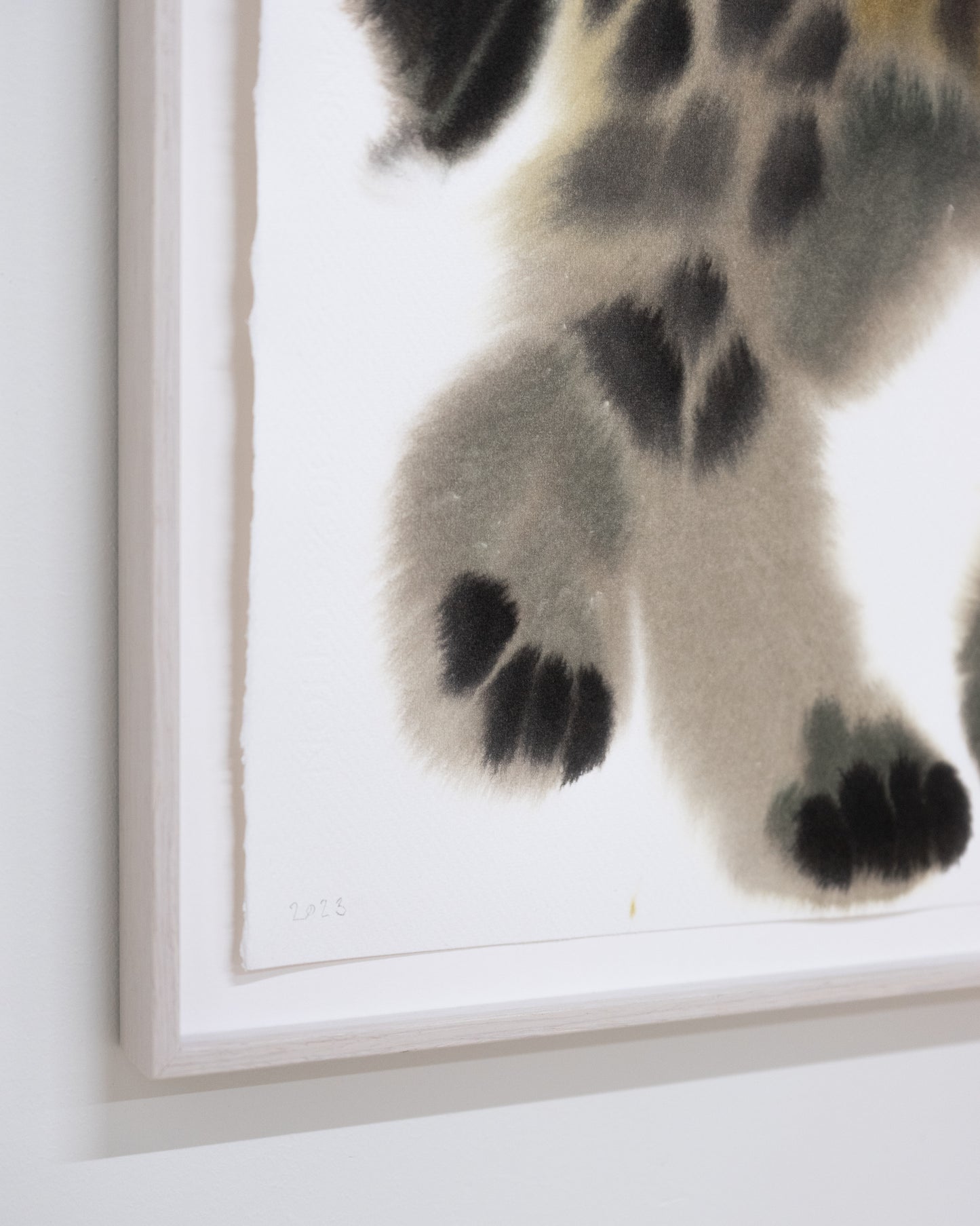 Hyena Frame