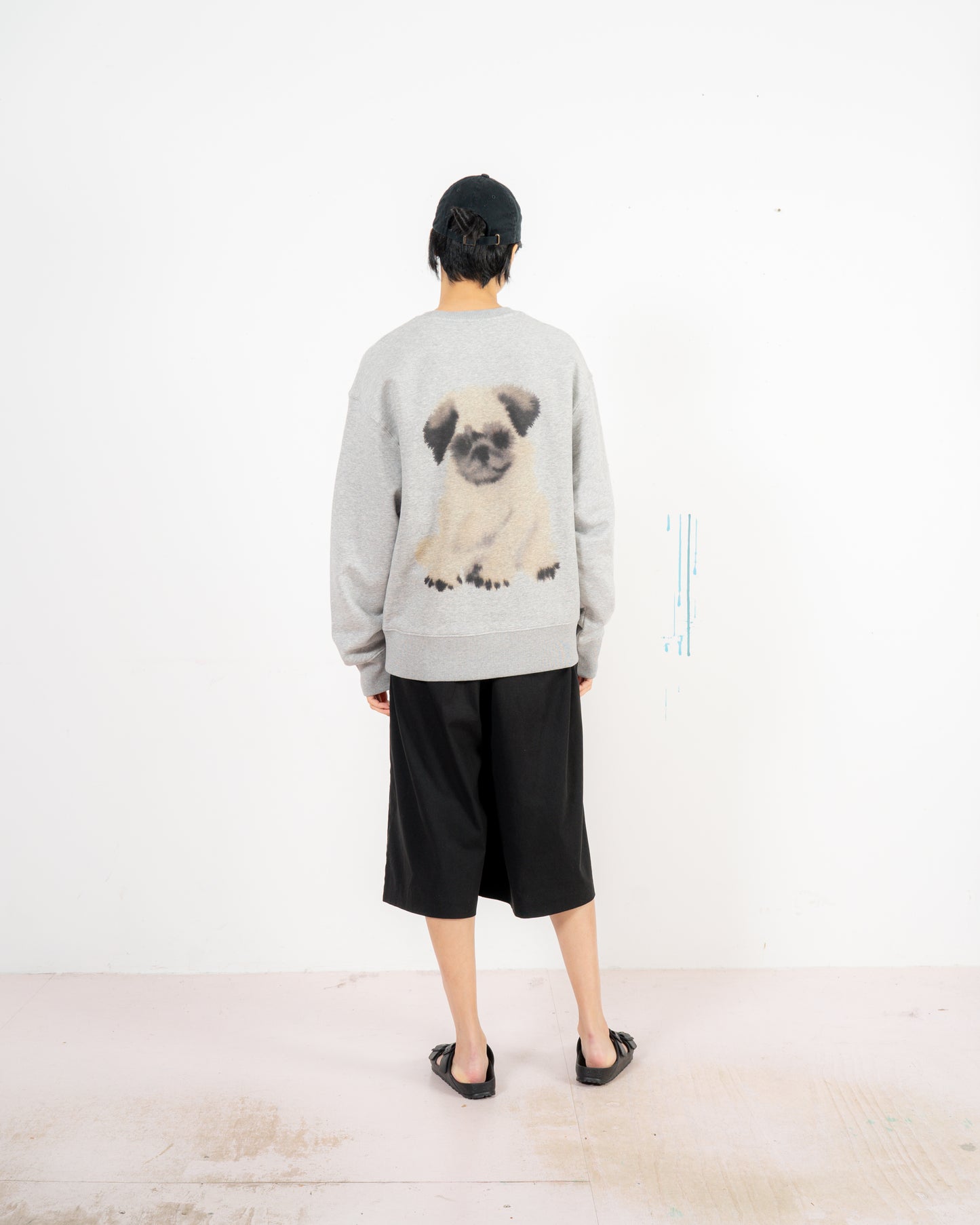 Pug, Pug