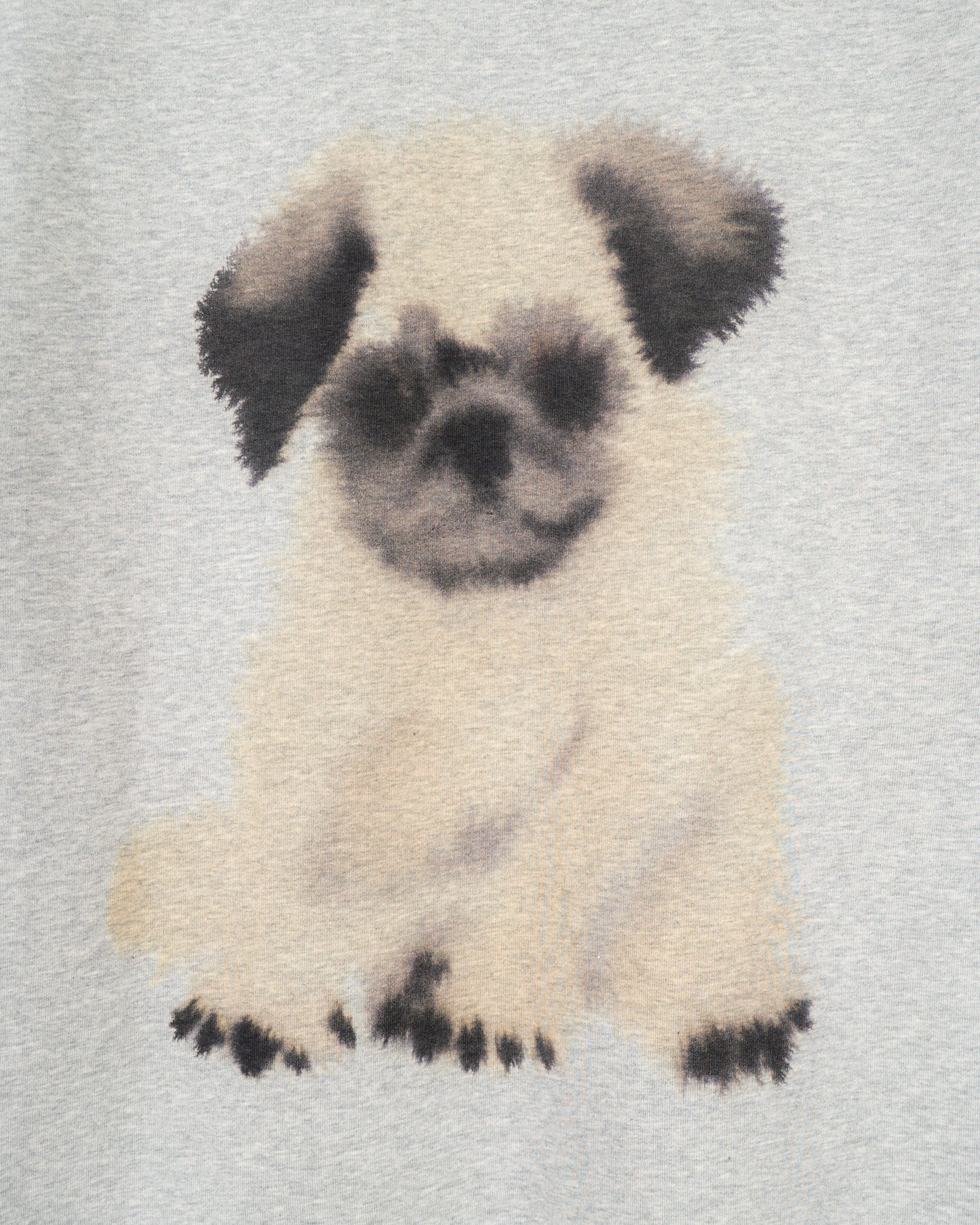 Pug, Pug