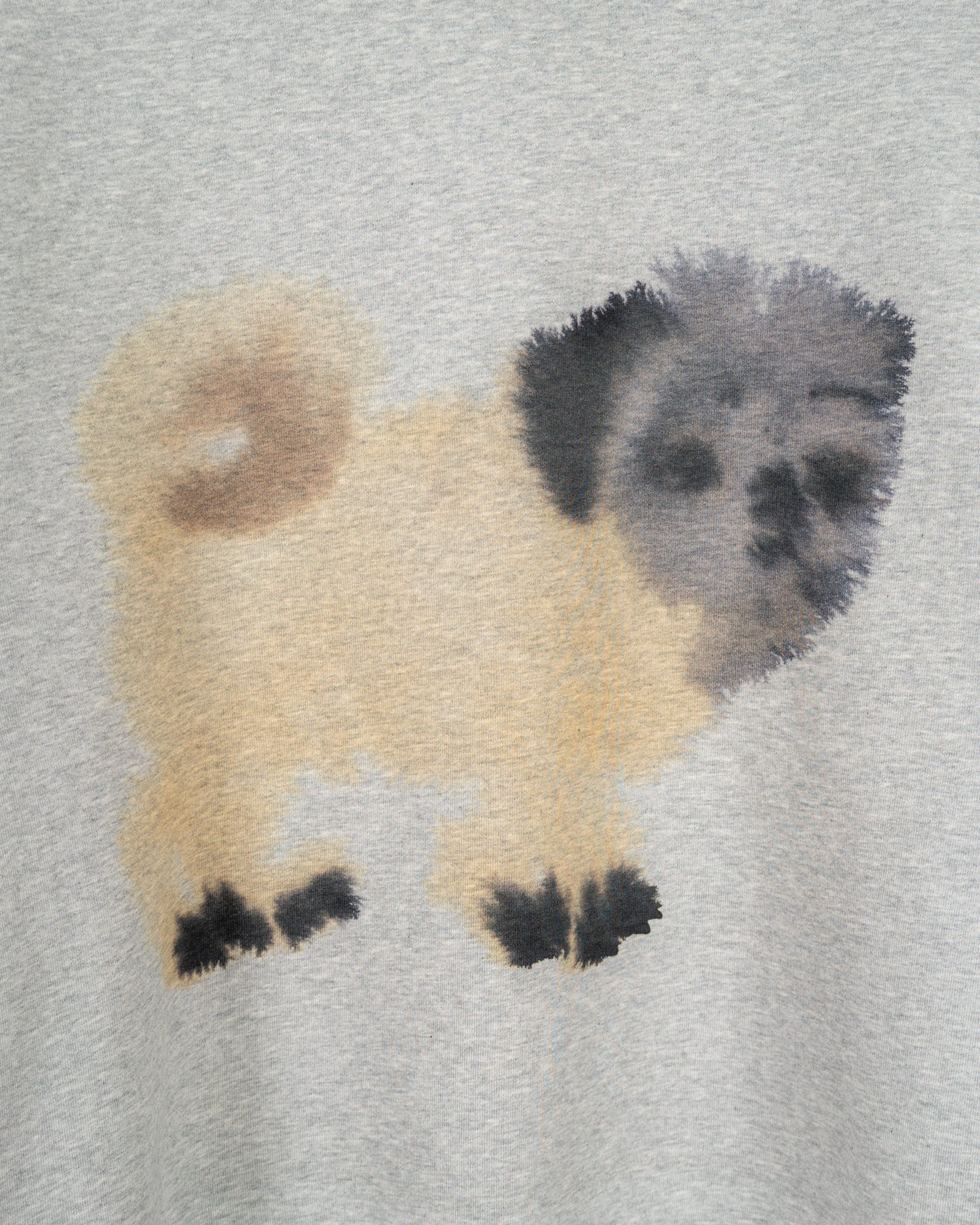 Pug, Pug