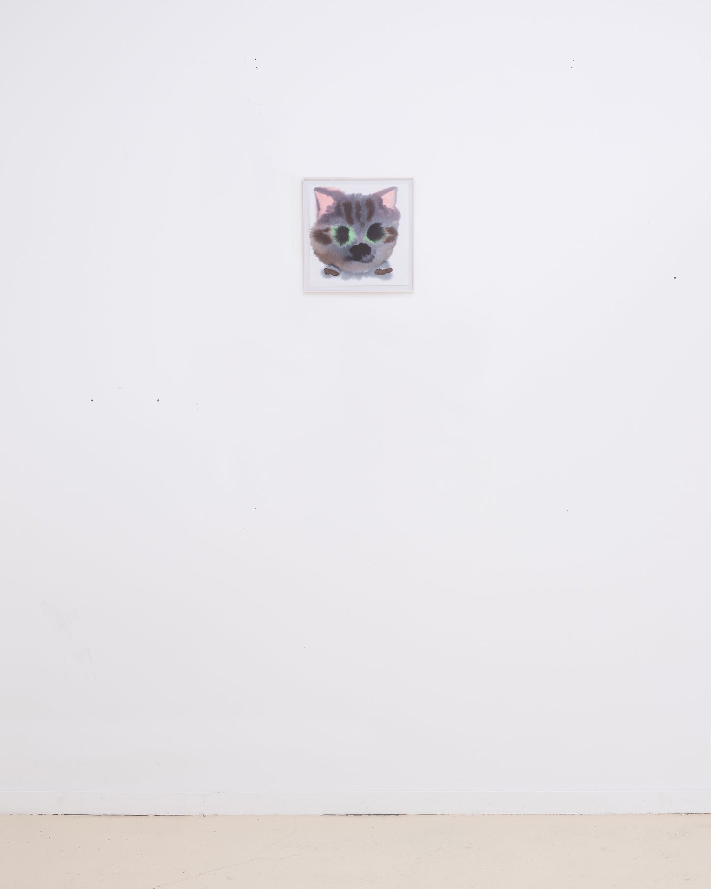 Cat 11