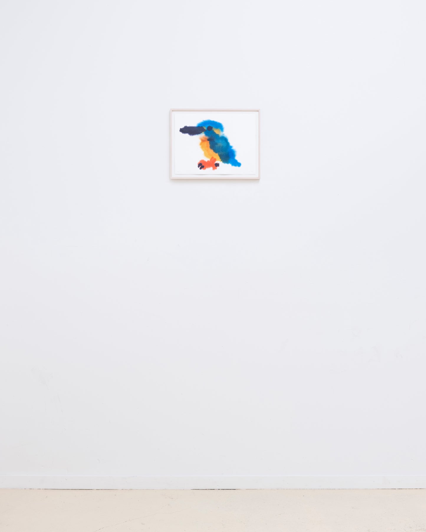 Kingfisher