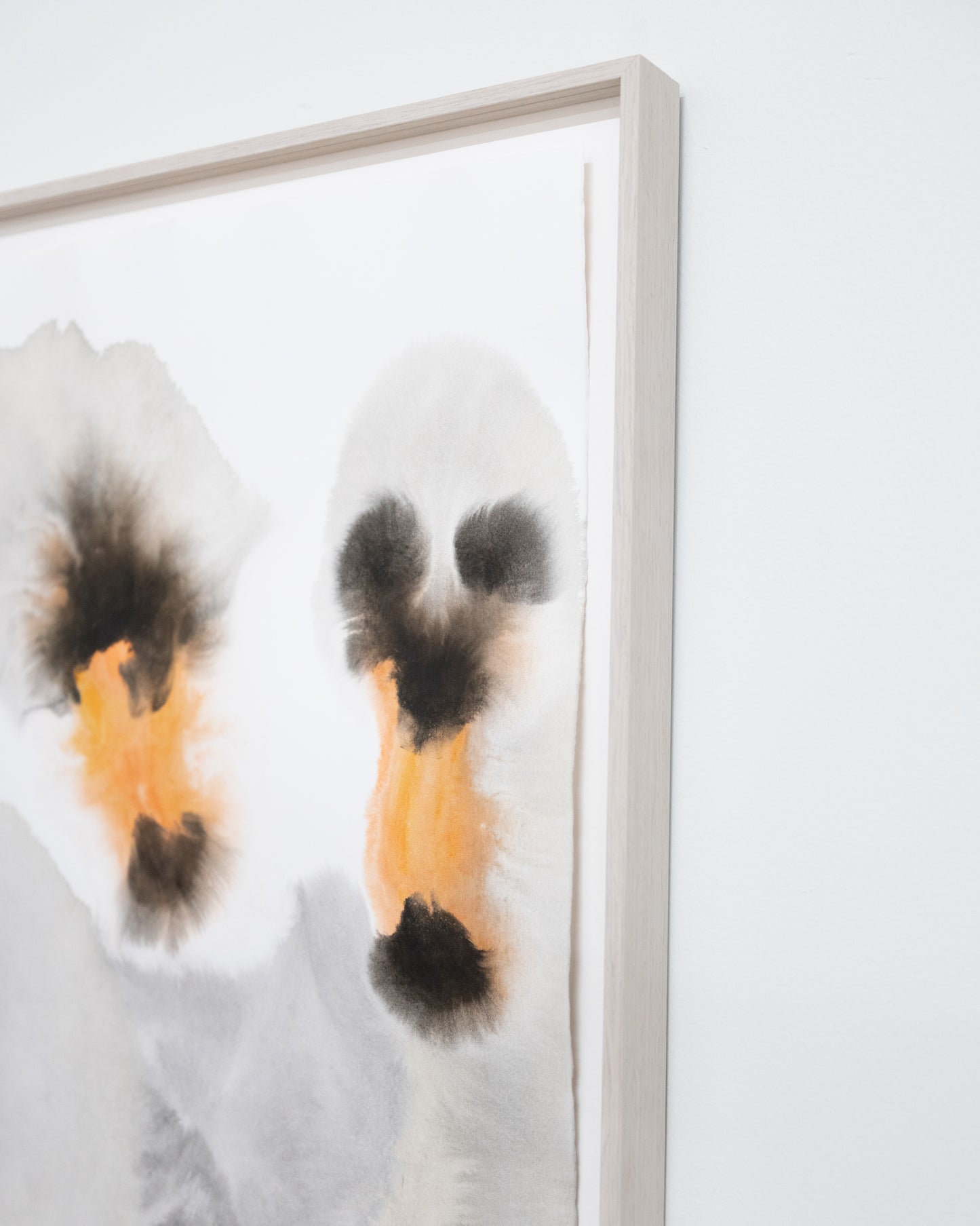 Swans Frame