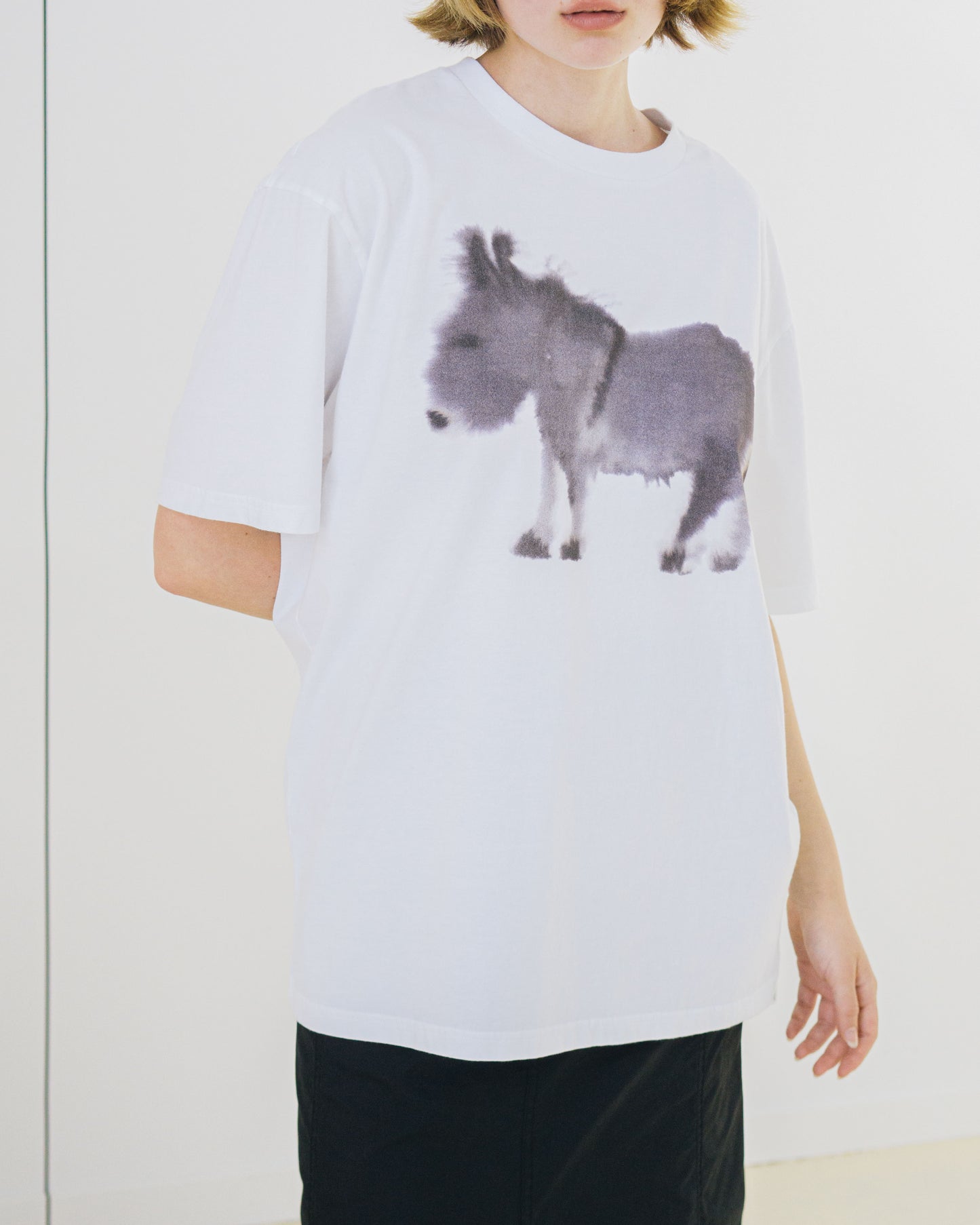 Donkey