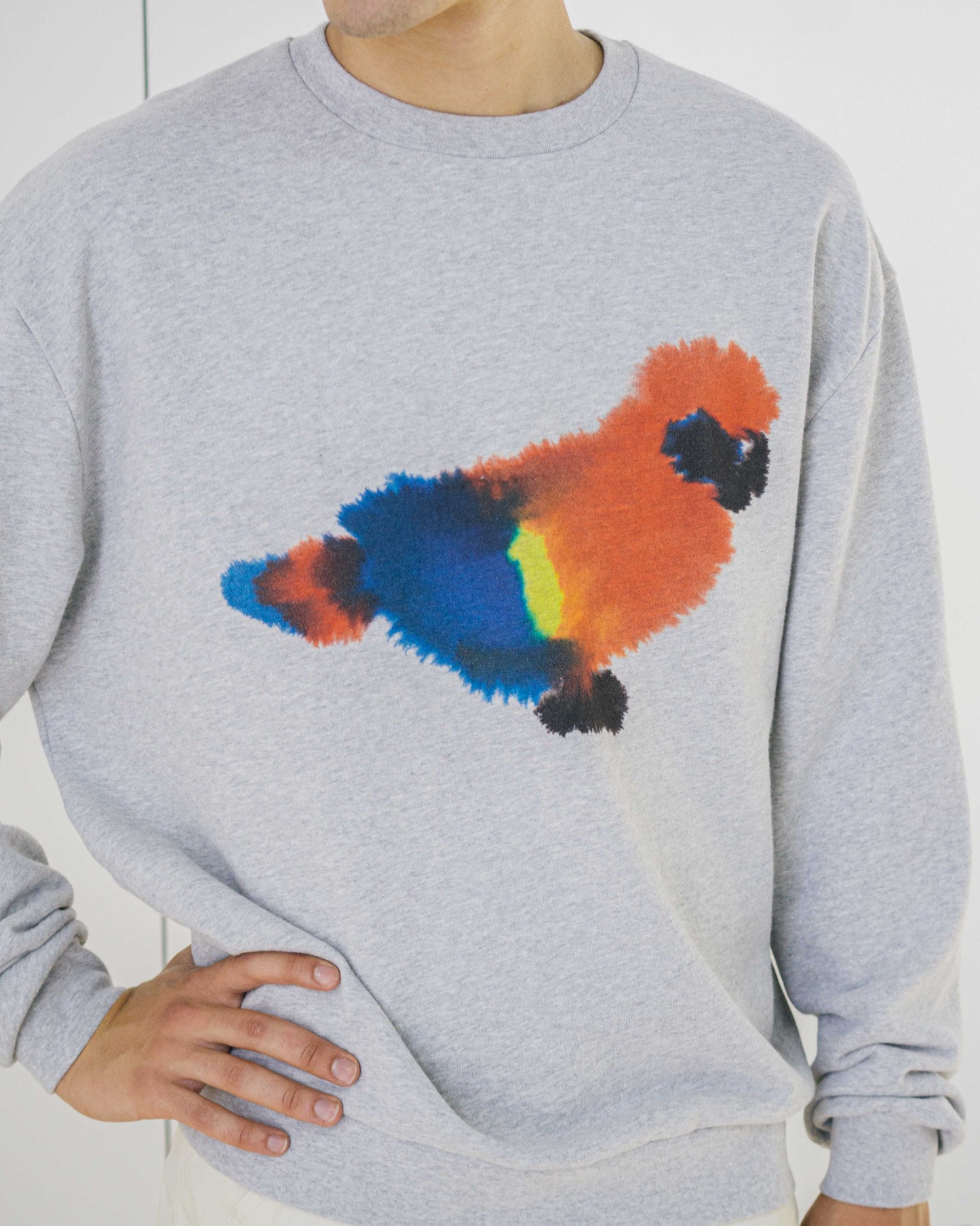 Parrot