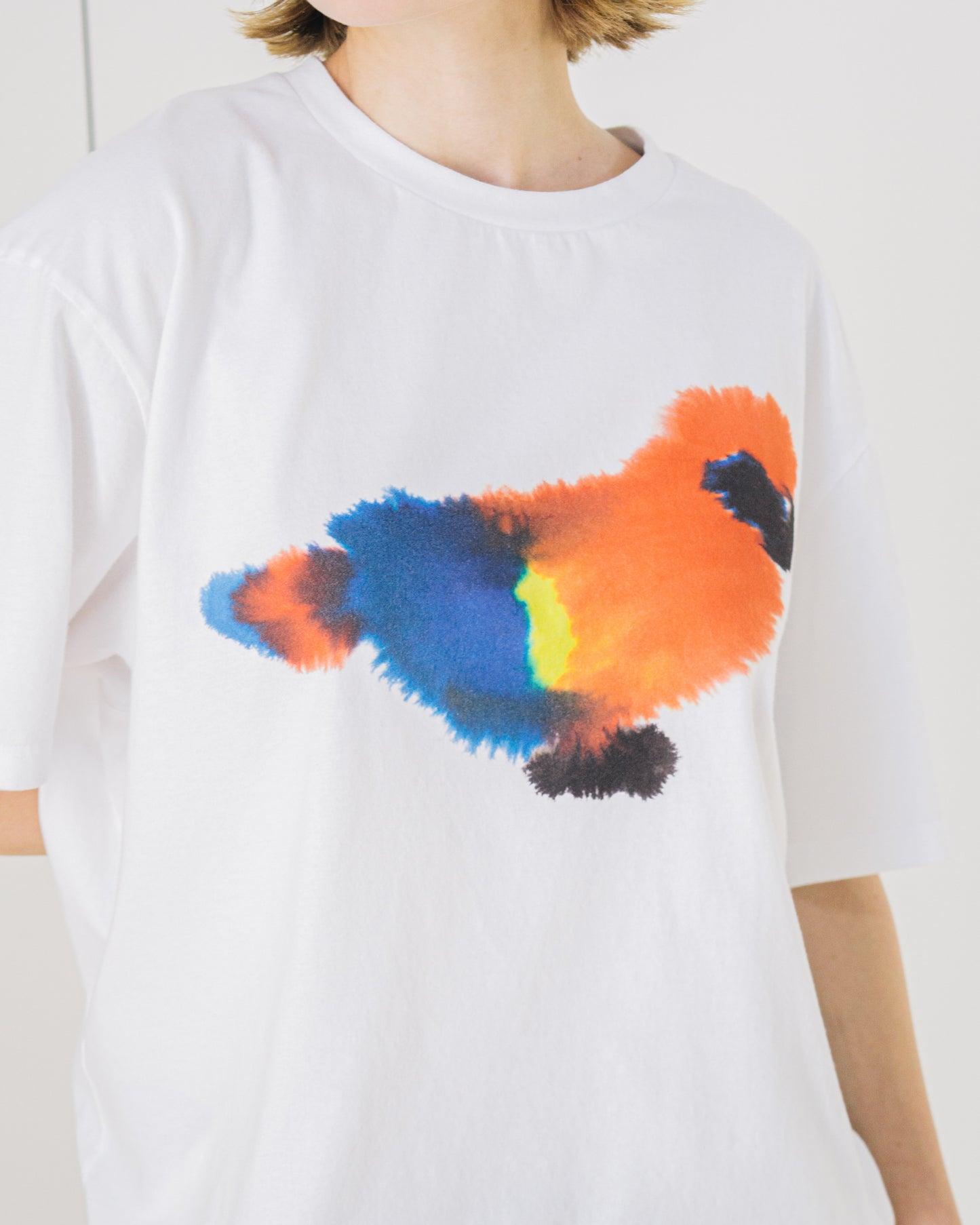 Parrot