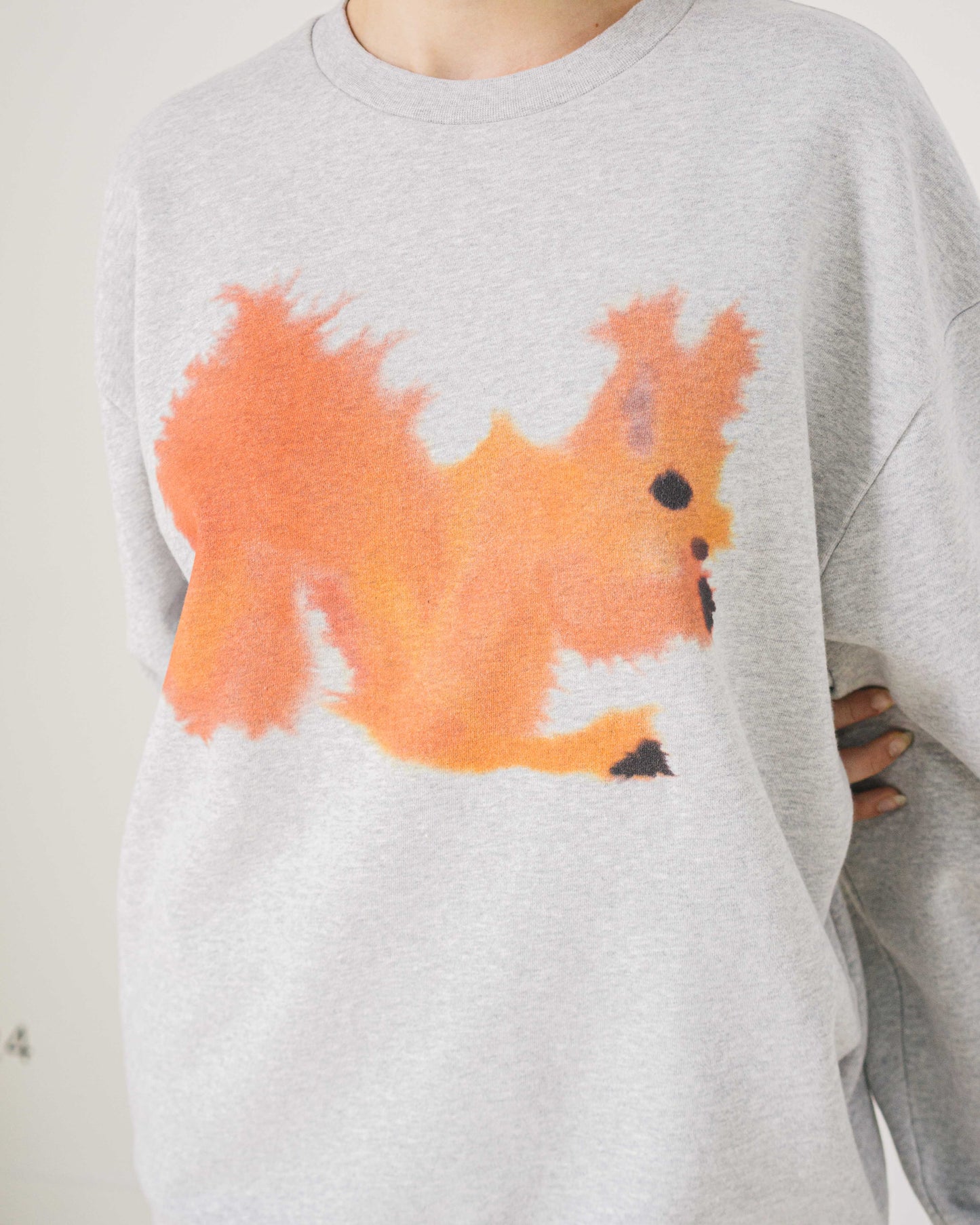 Squirrel