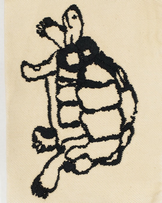 Turtle, Snail