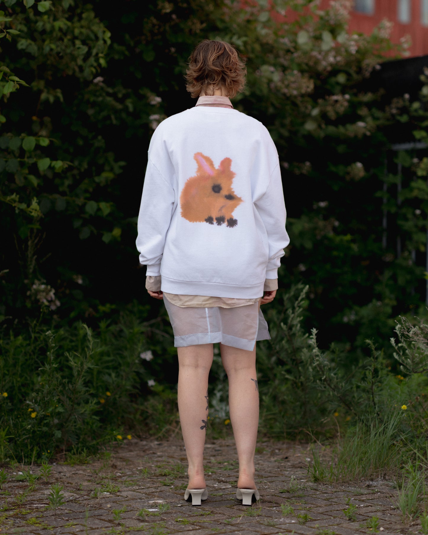 Rabbit