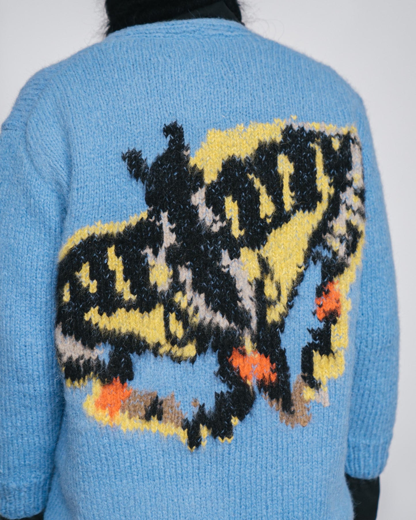 Butterfly, butterfly