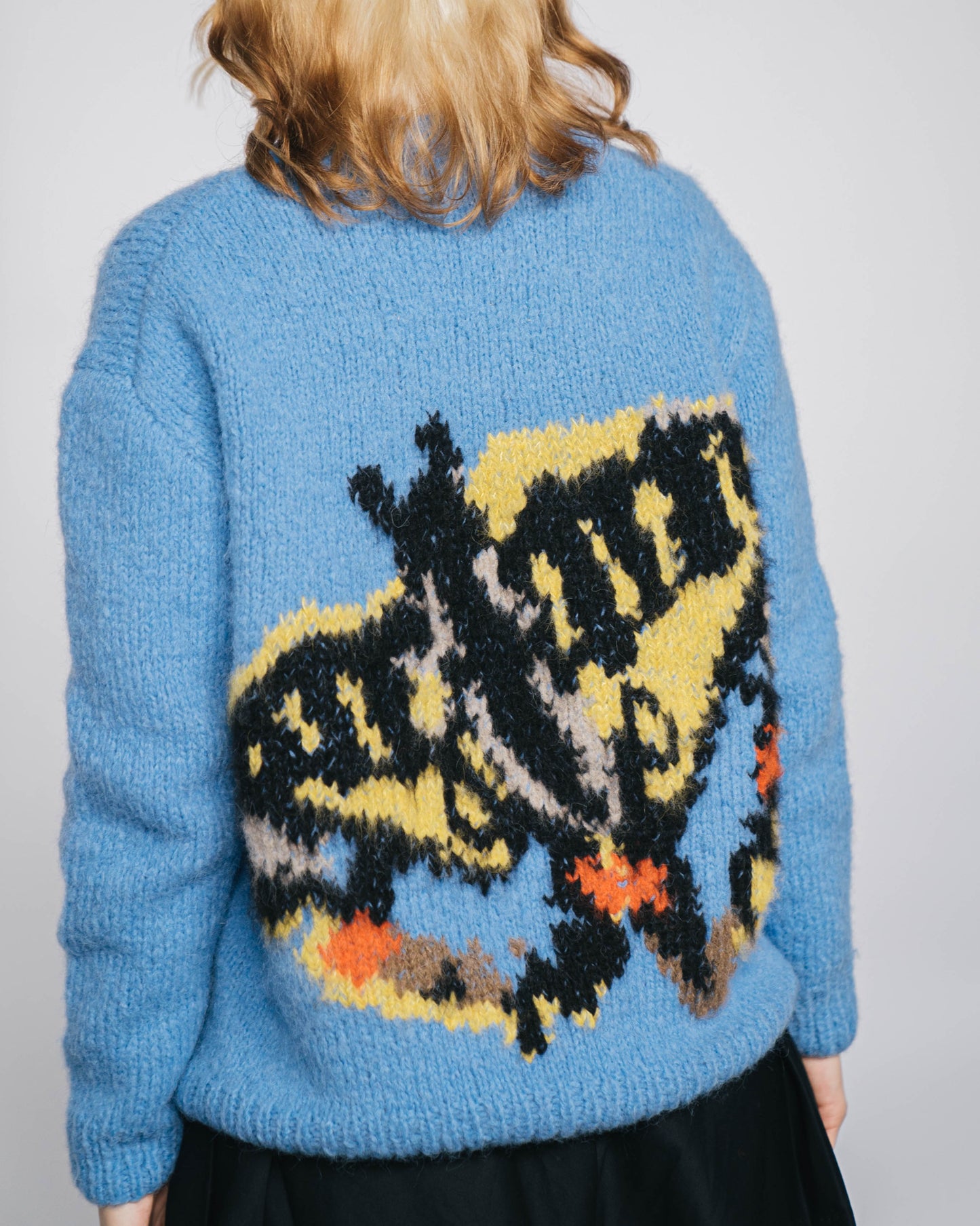 Butterfly, butterfly