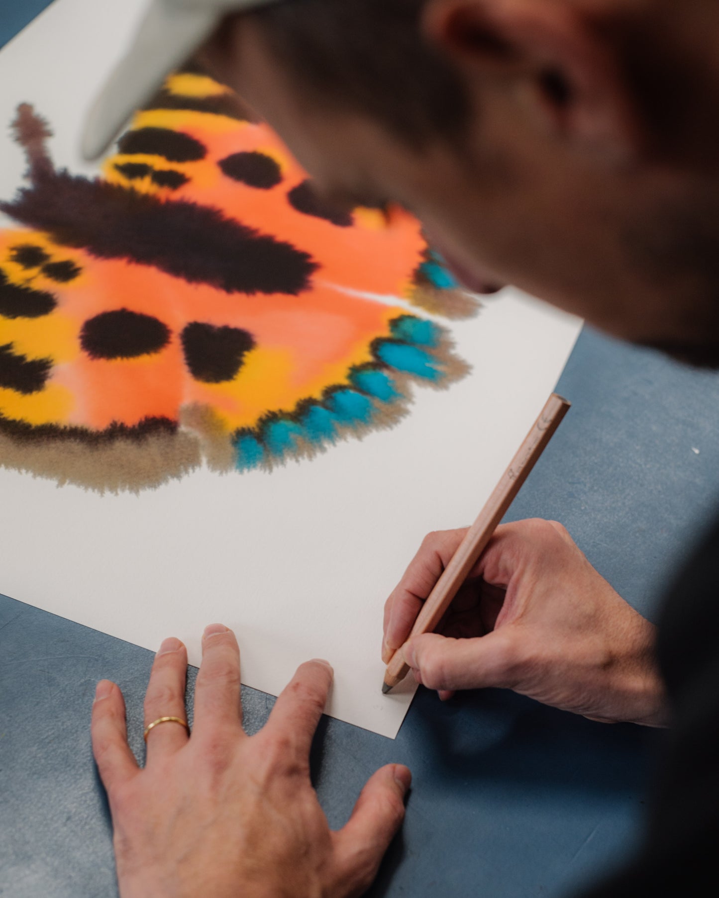 Small Tortoiseshell II