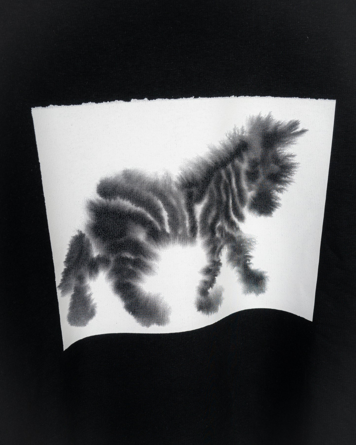 Zebra, Tiger