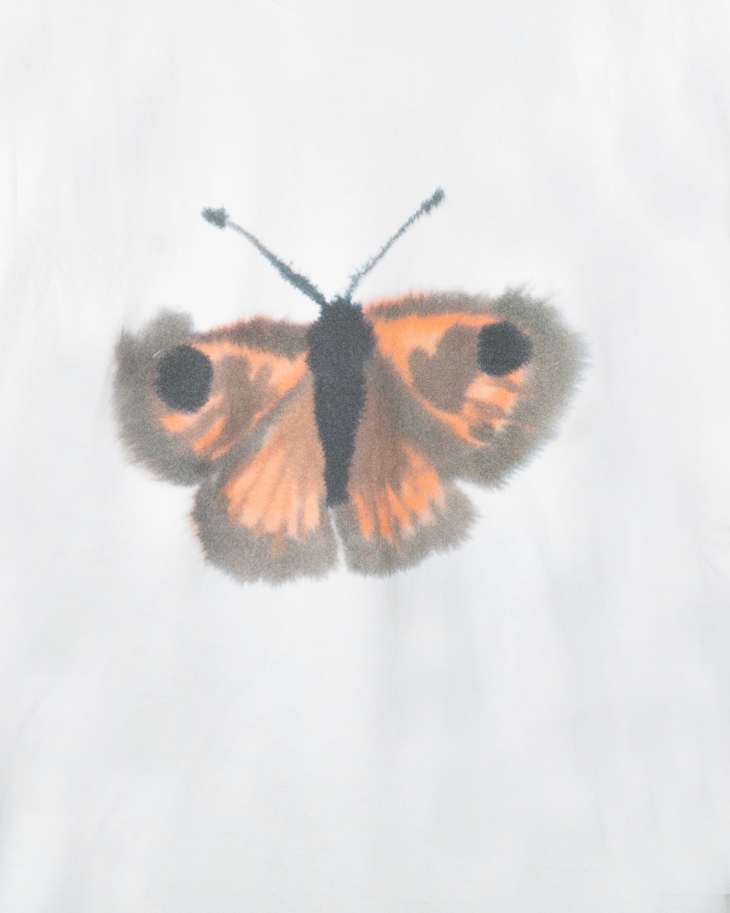 Butterfly, Butterfly, Butterfly