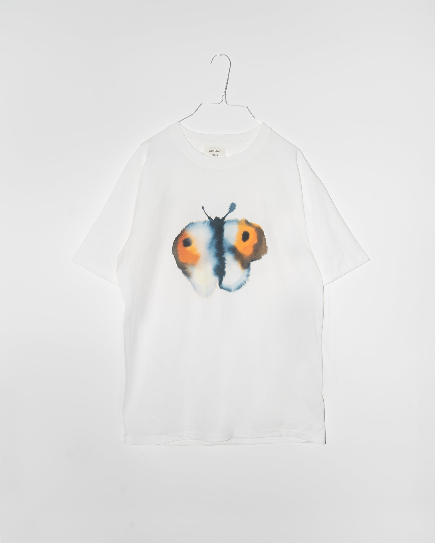 Butterfly, Butterfly