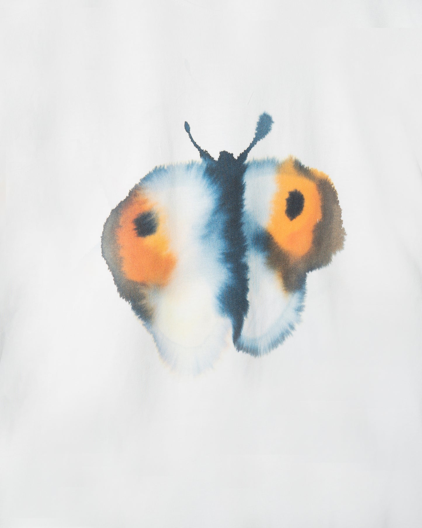 Butterfly, Butterfly