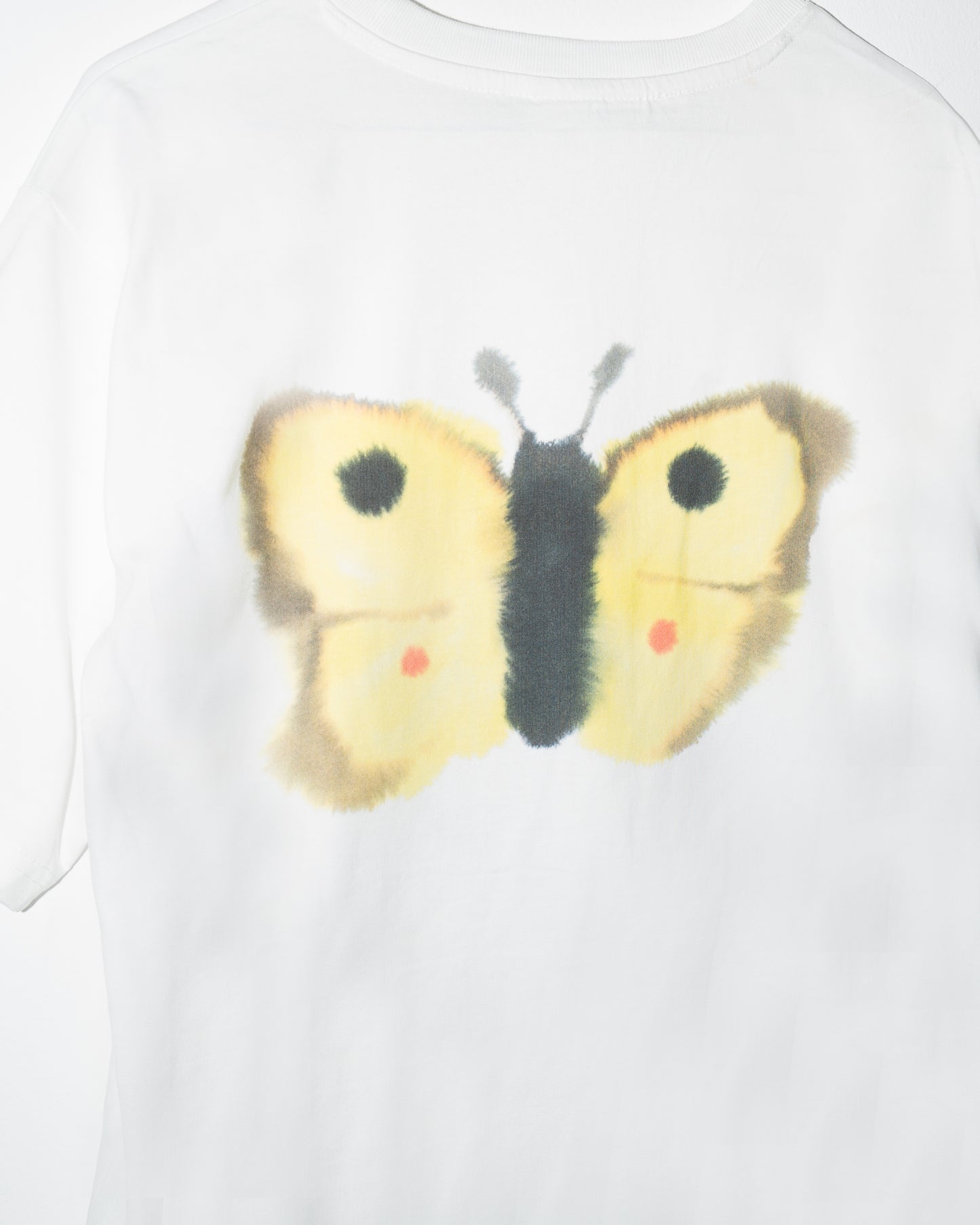 Butterfly, Butterfly