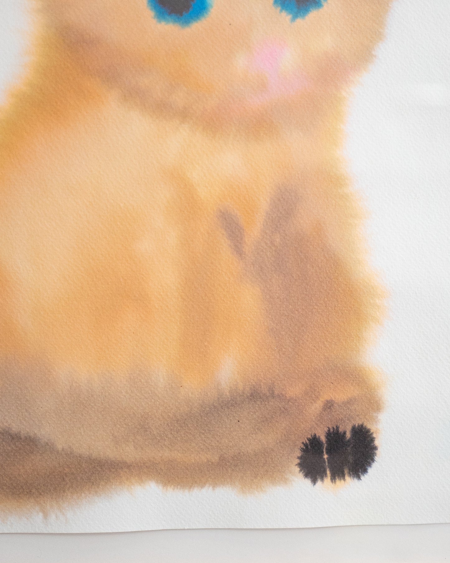 Cat 1 (framed)