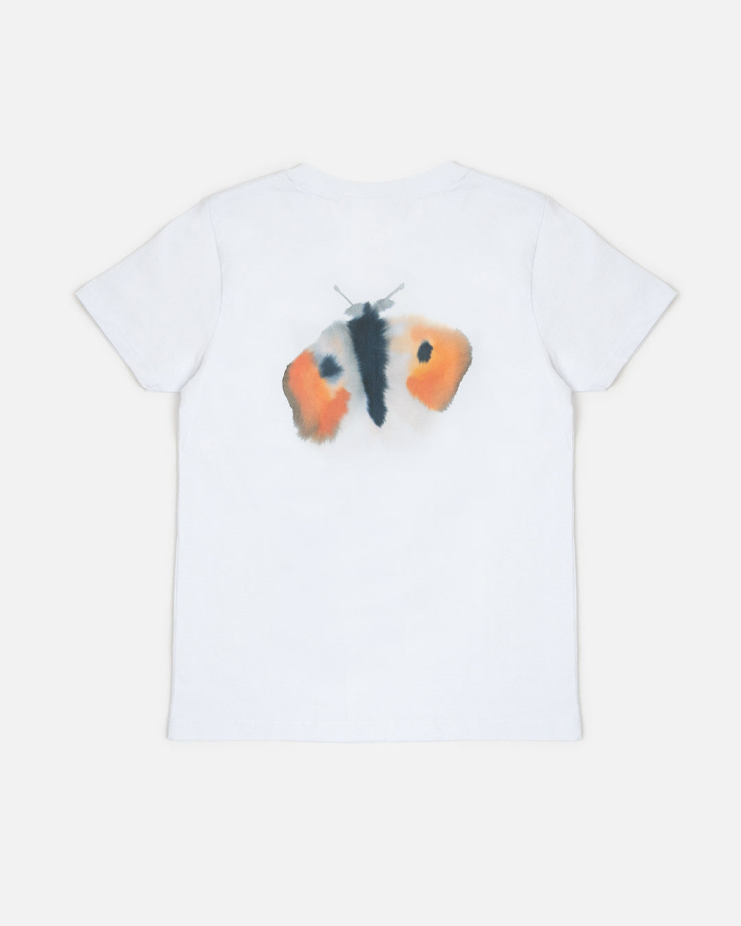 Donkey, Butterfly