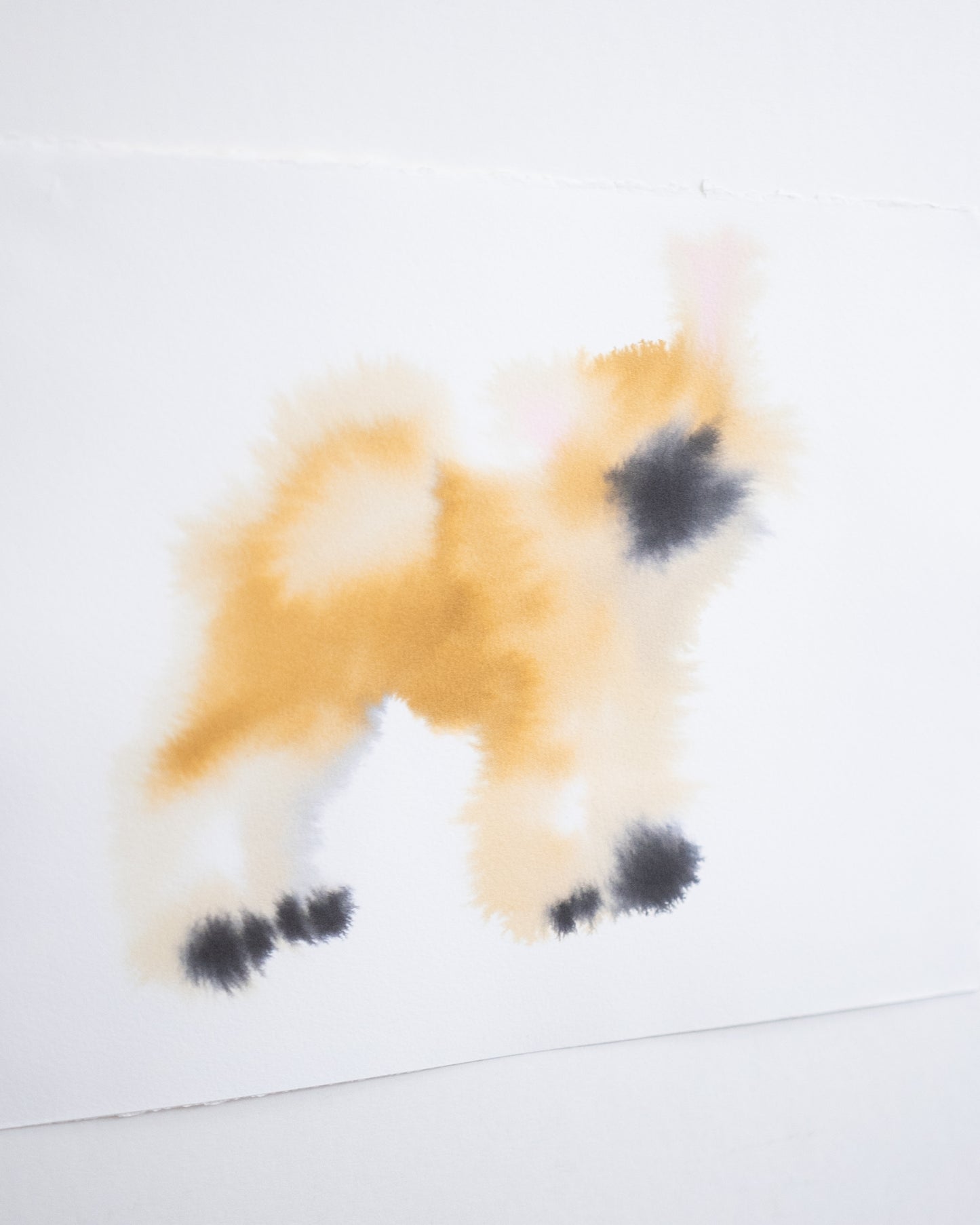 Akita