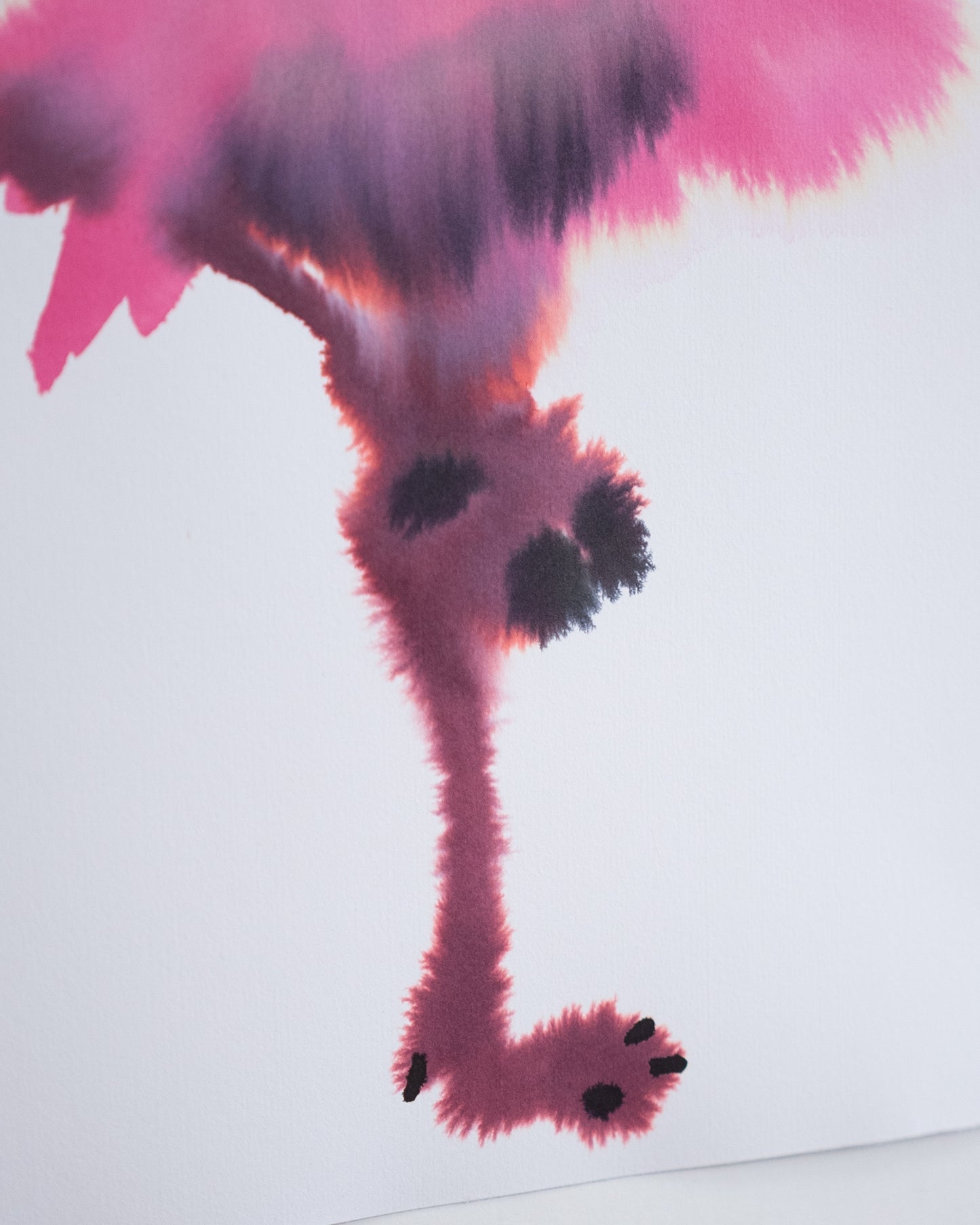 Flamingo 4