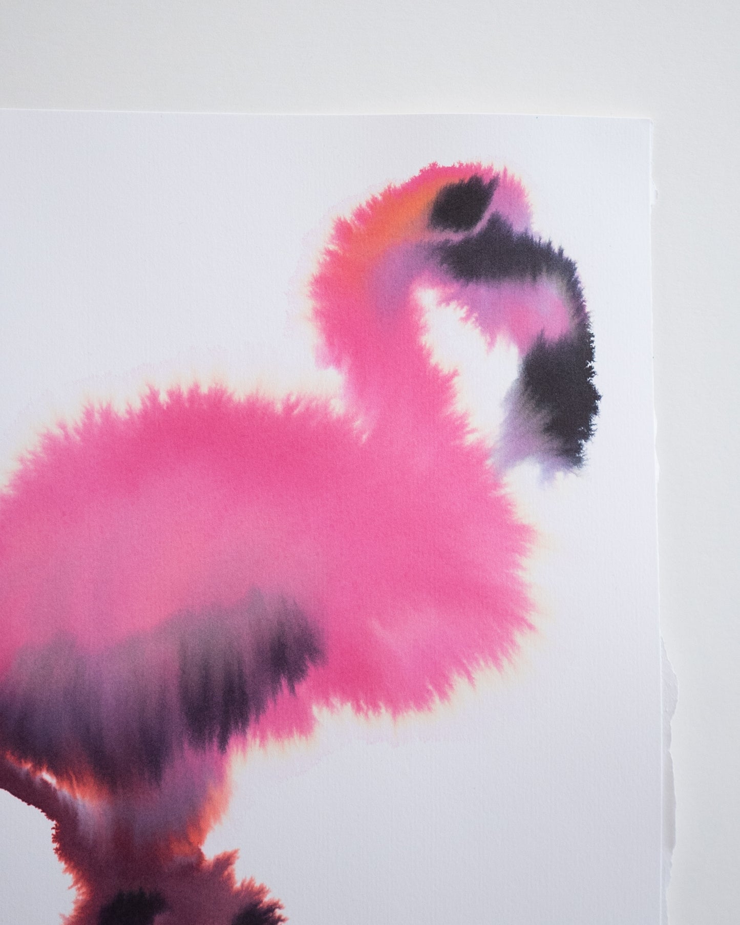 Flamingo 4