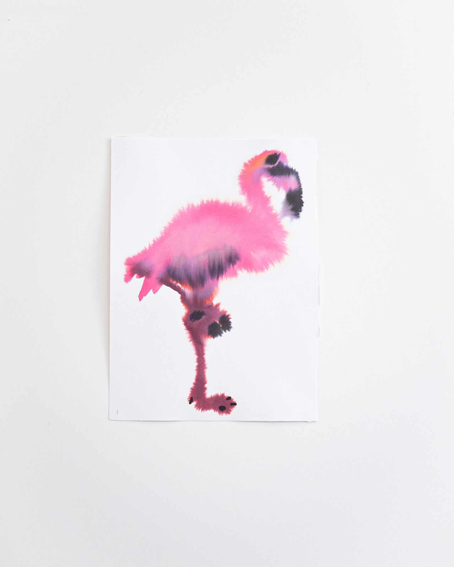 Flamingo 4