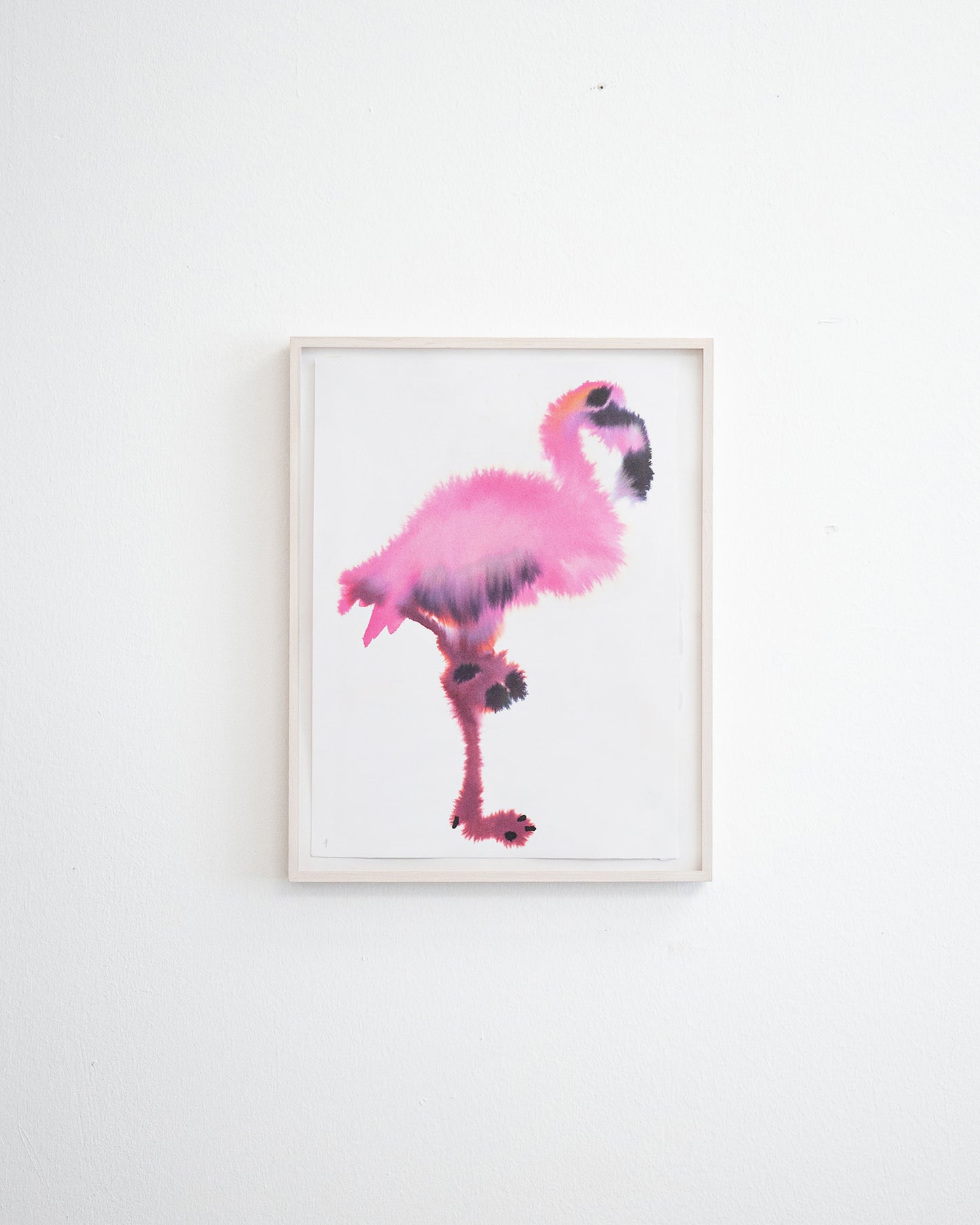 Flamingo 4