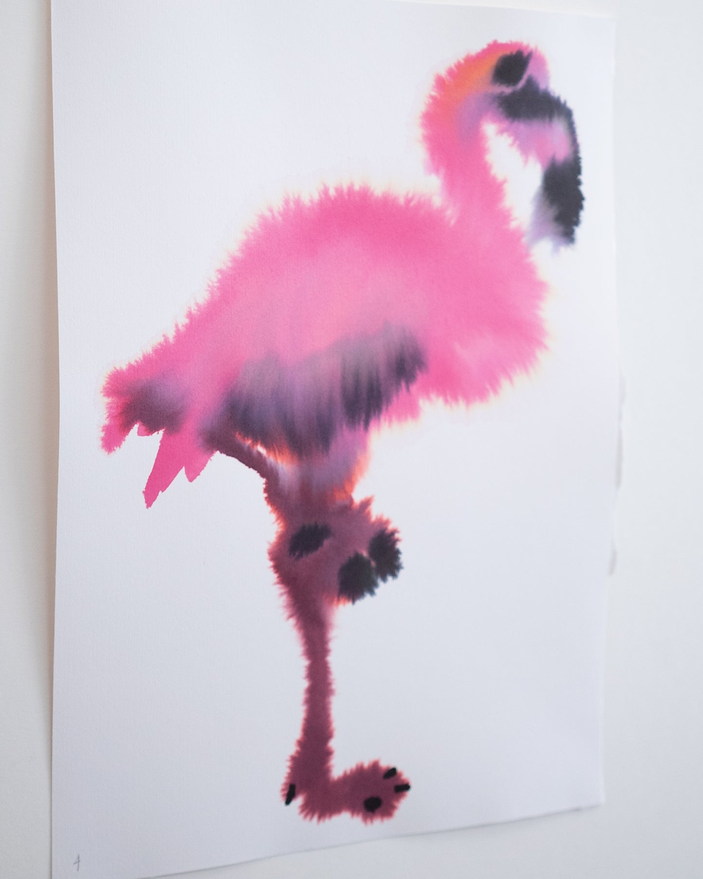 Flamingo 4