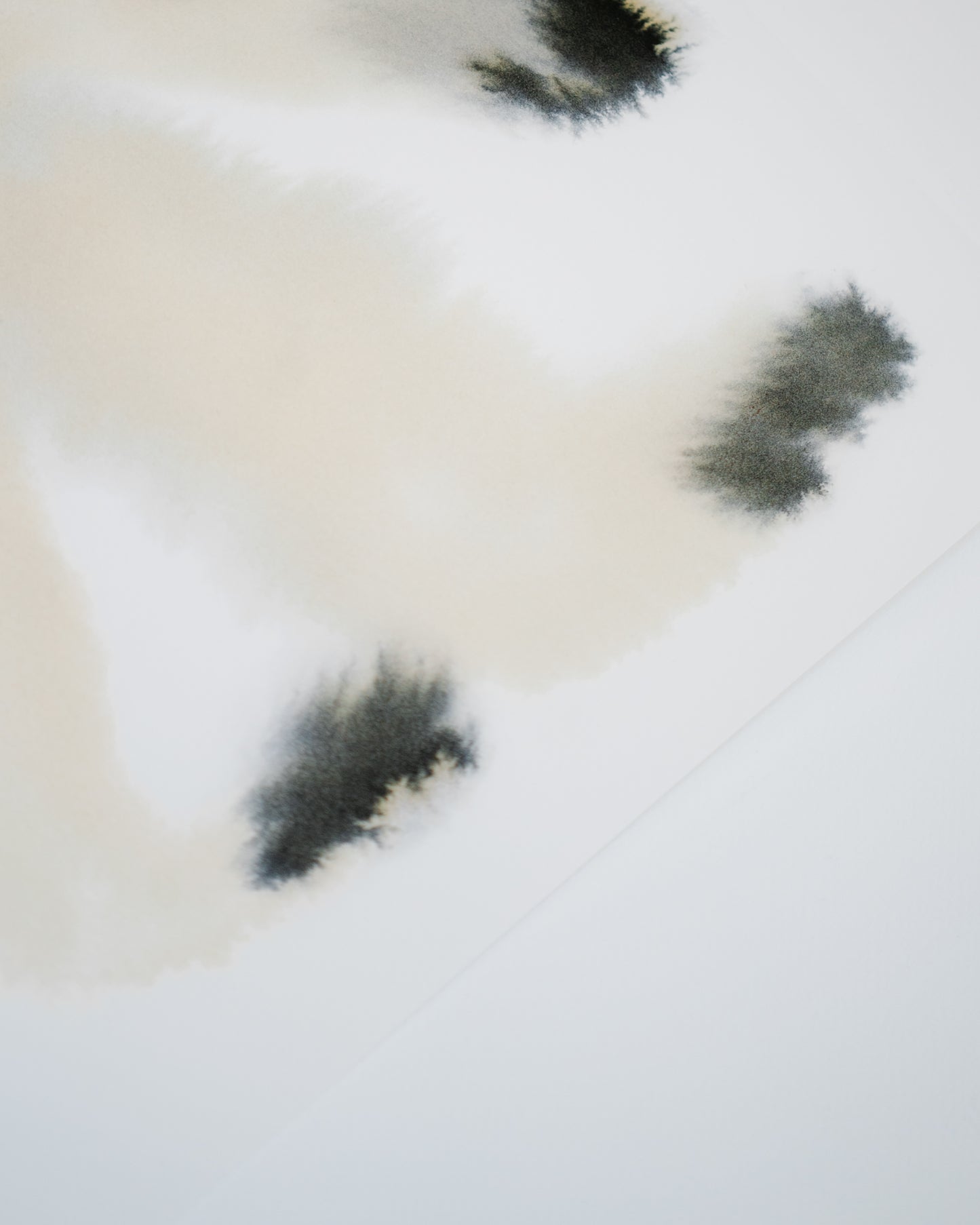 Polar Bear 1