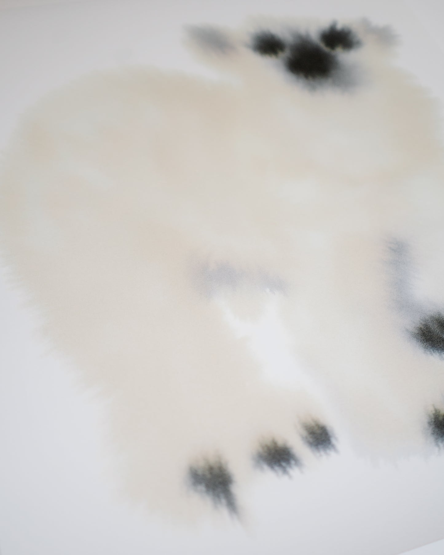 Polar Bear 2