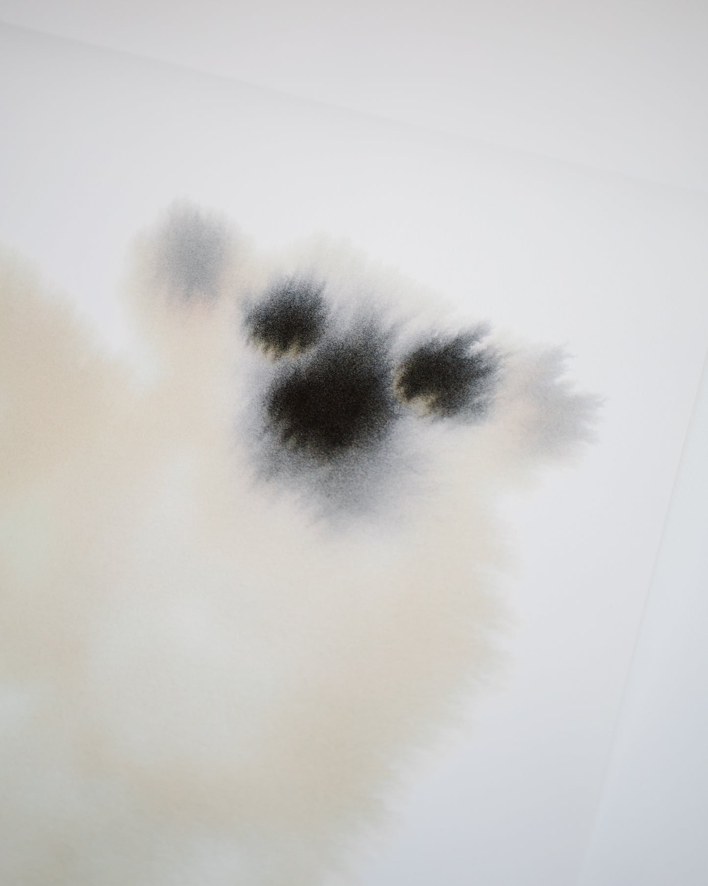 Polar Bear 2