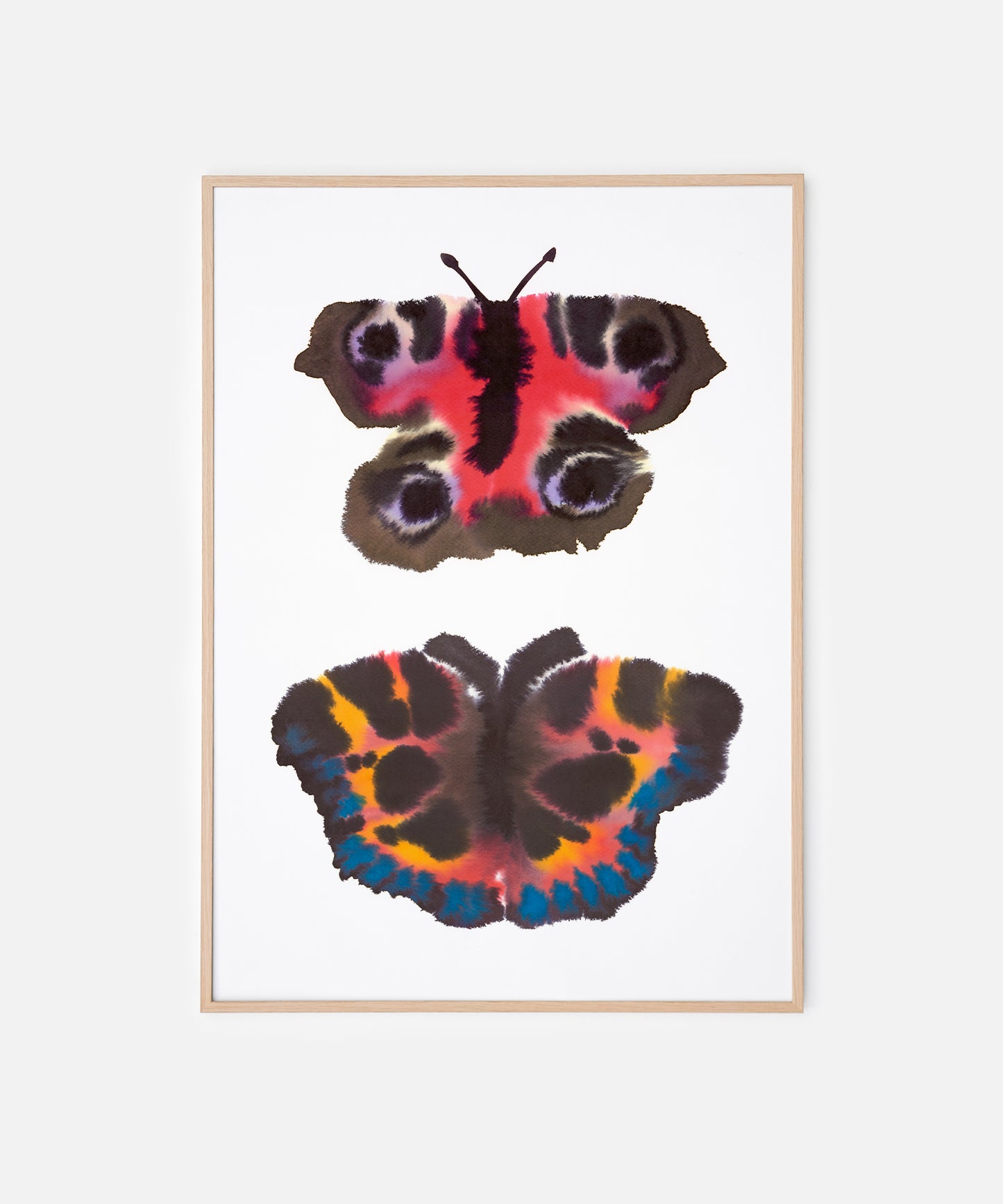 Two Butterflies