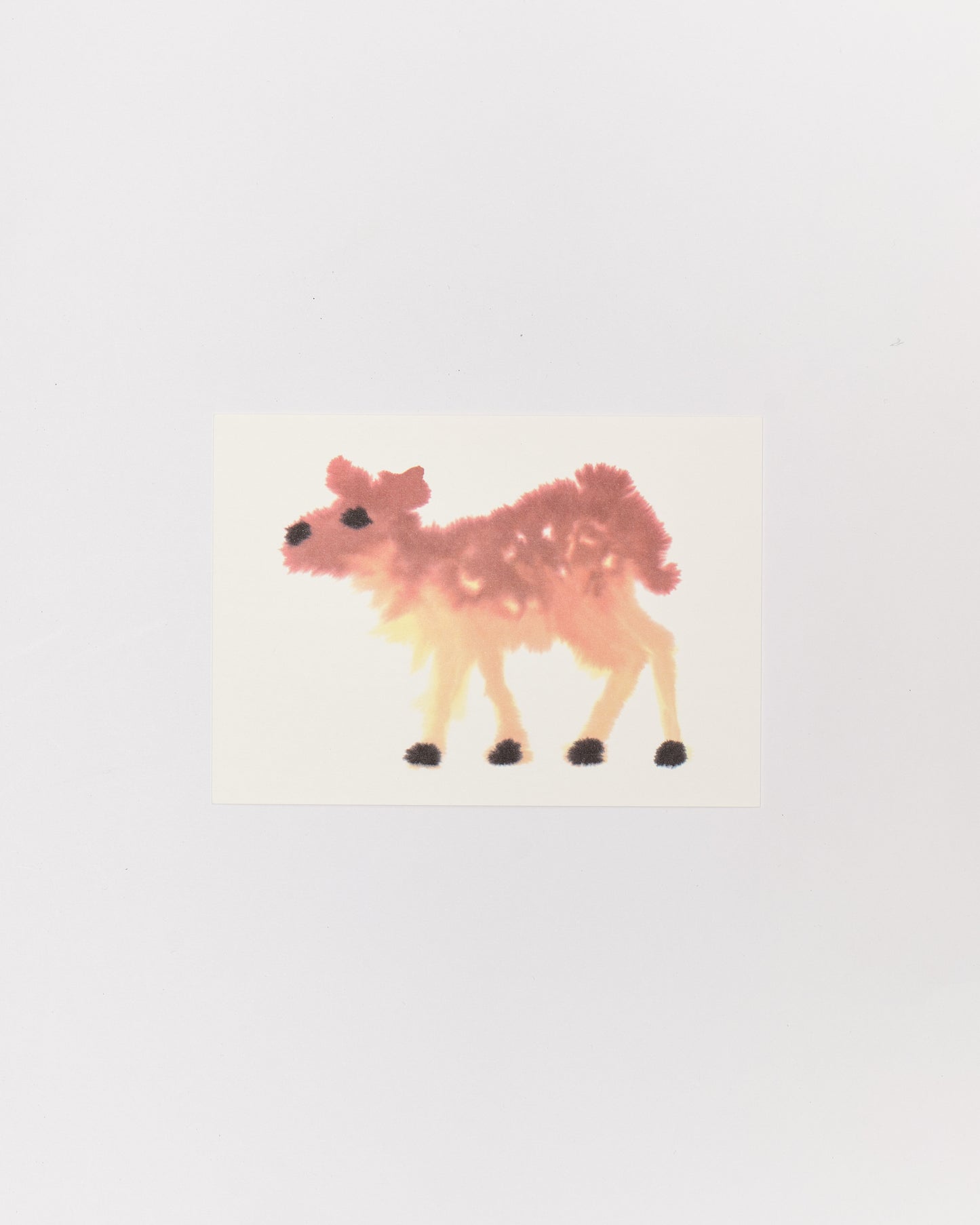 Wild Animals Postcards