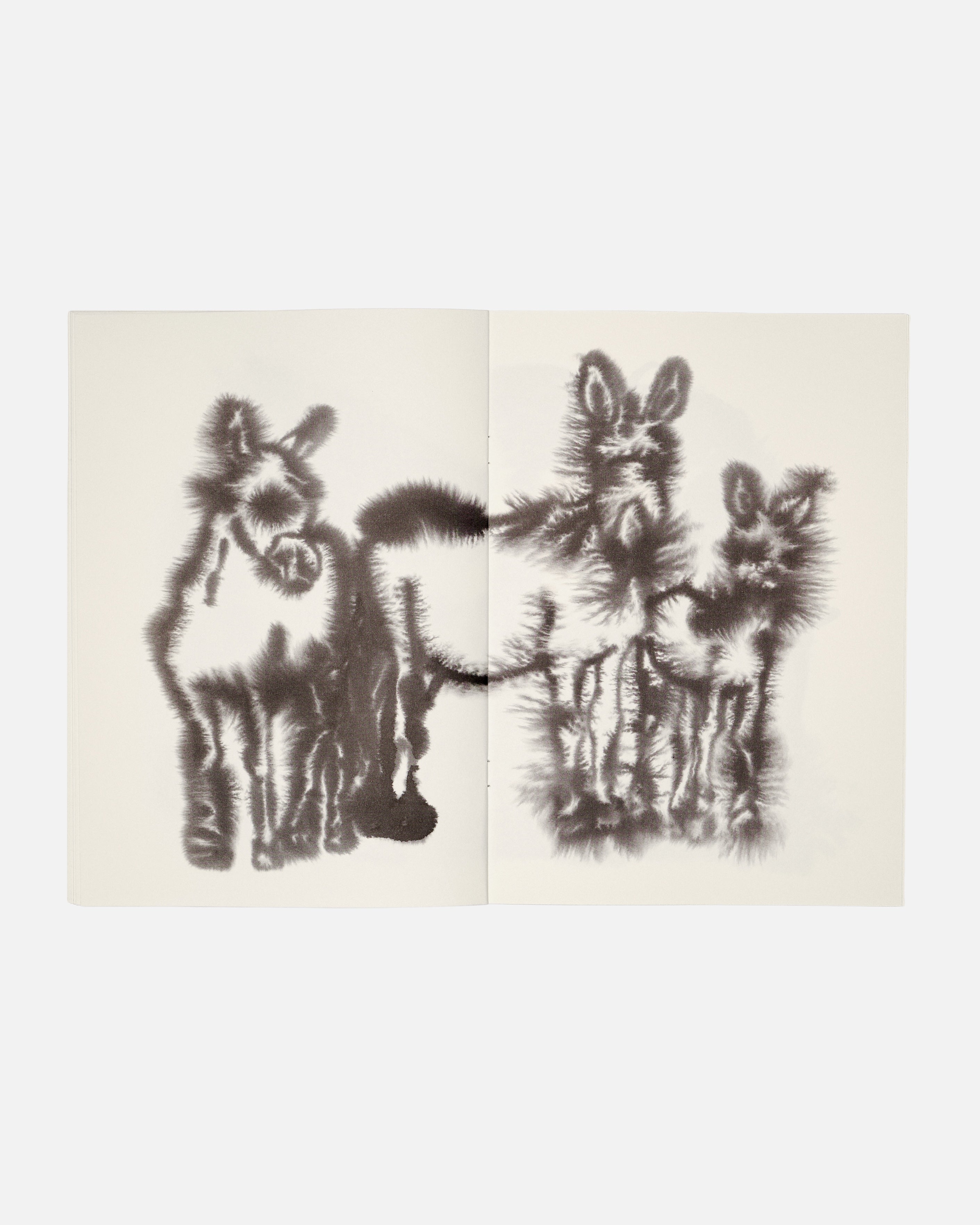 Colouring Book by Rop van Mierlo – Wild Animals