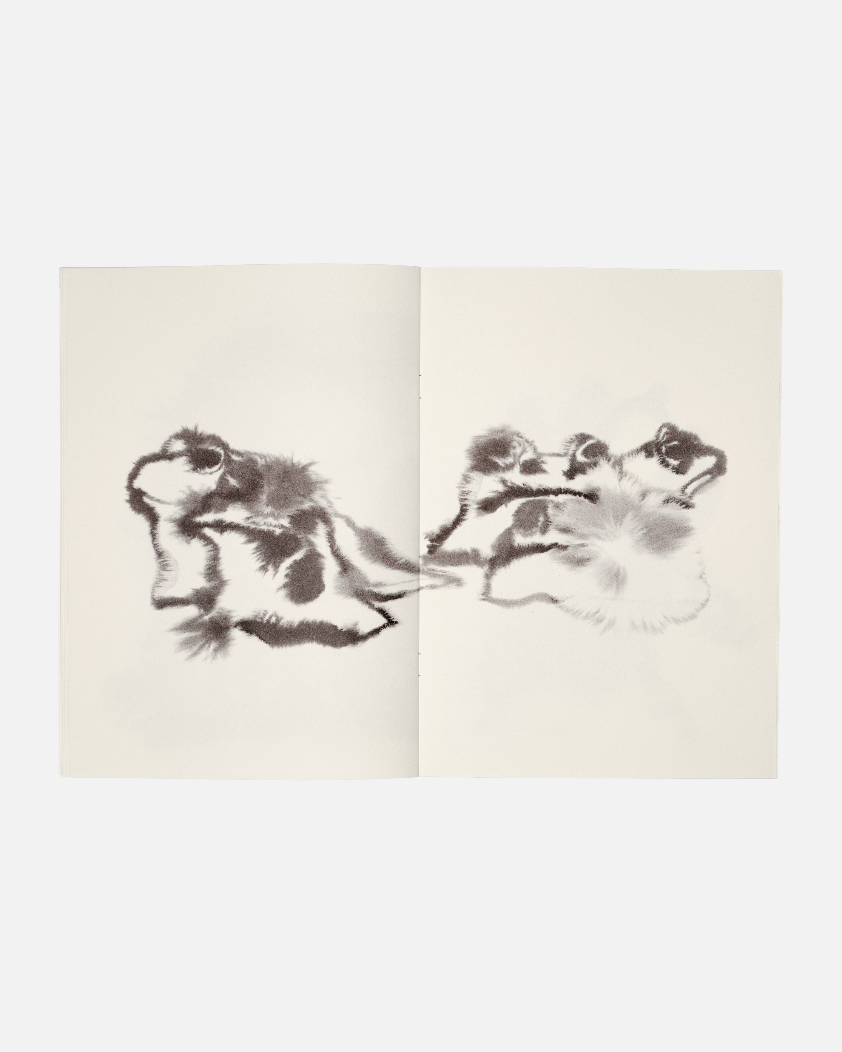 Colouring Book by Rop van Mierlo – Wild Animals