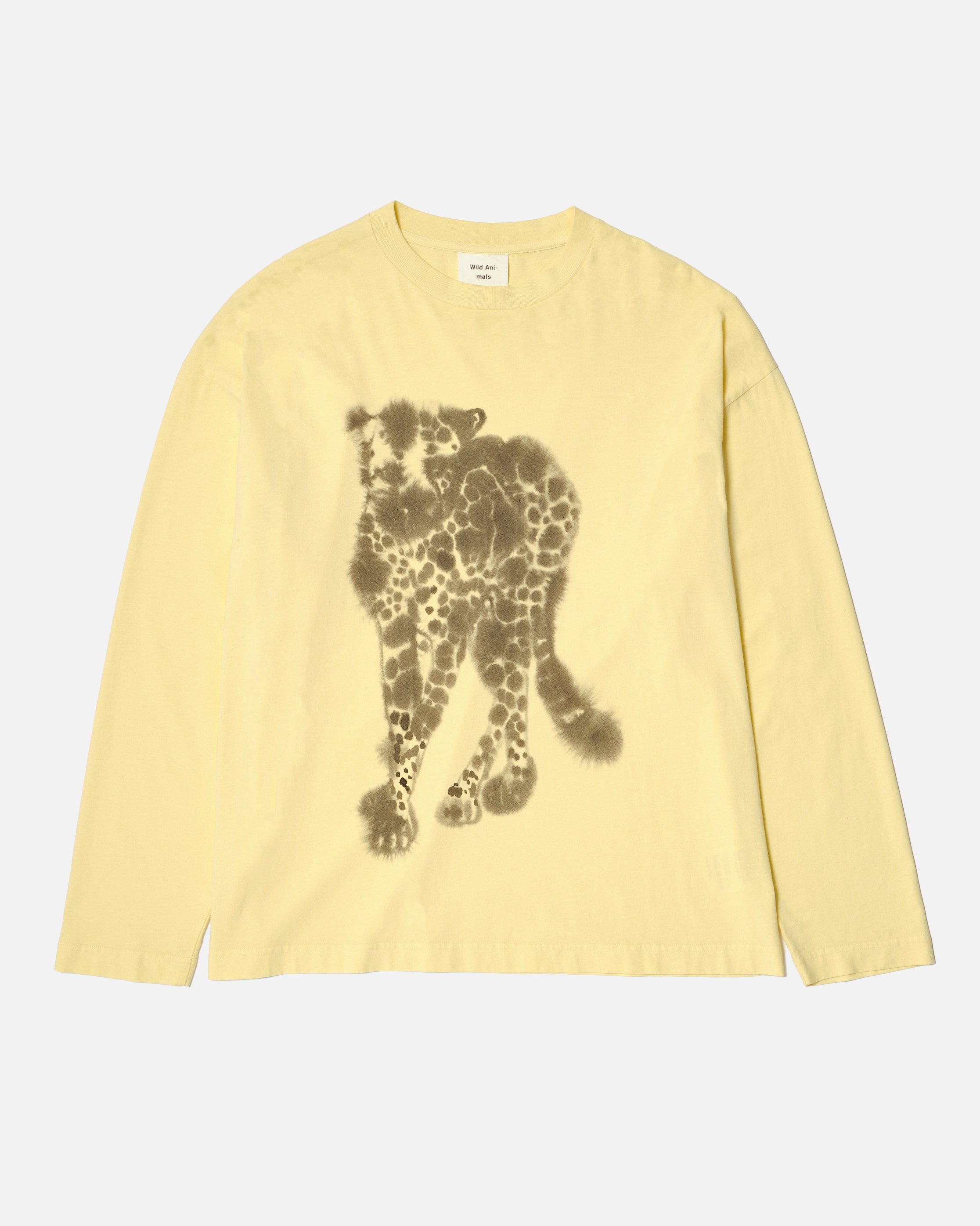 Cheetah – Wild Animals