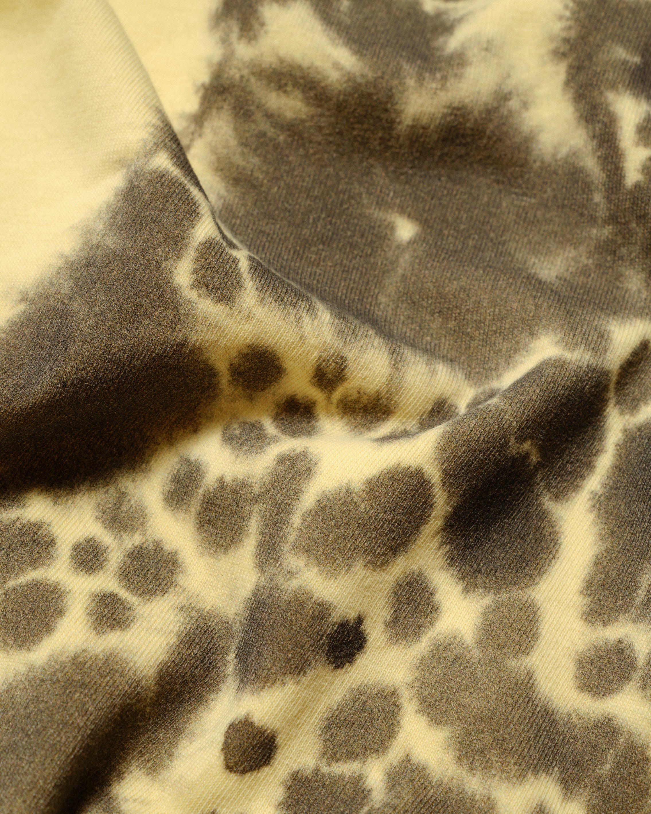 Cheetah – Wild Animals