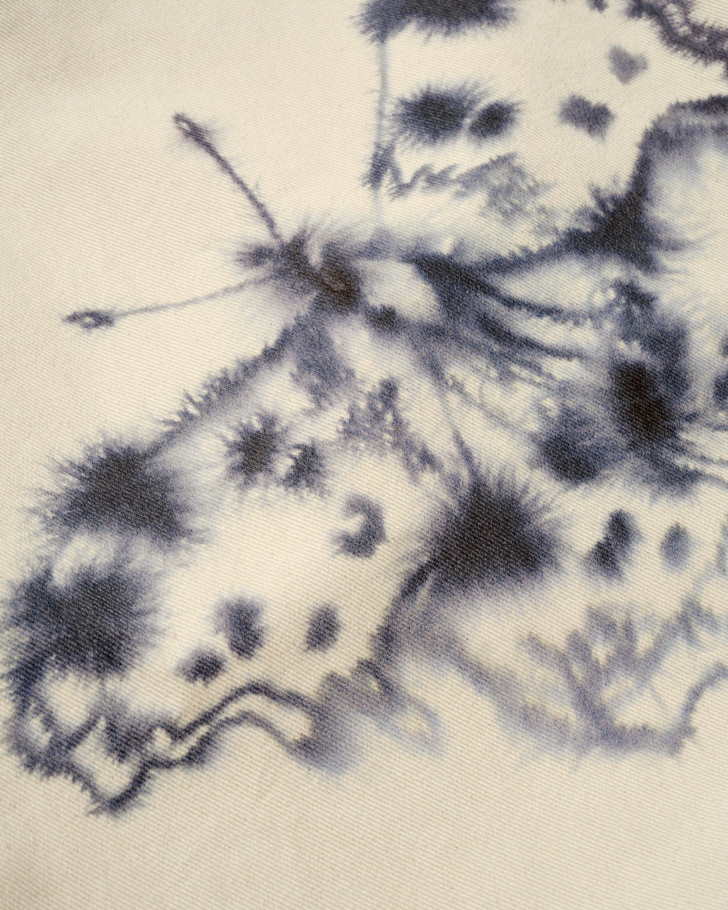 Butterfly, Tarantula