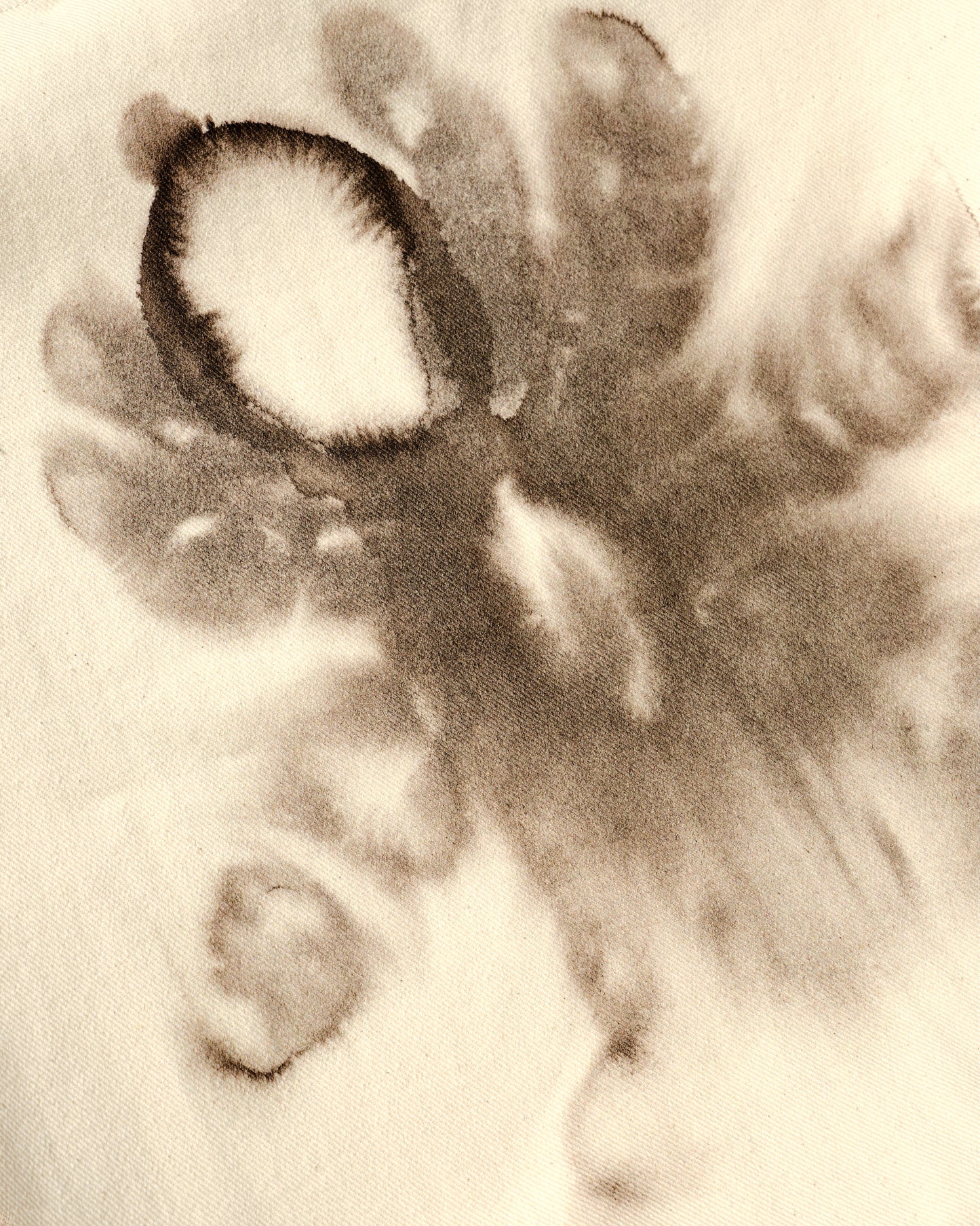 Butterfly, Tarantula