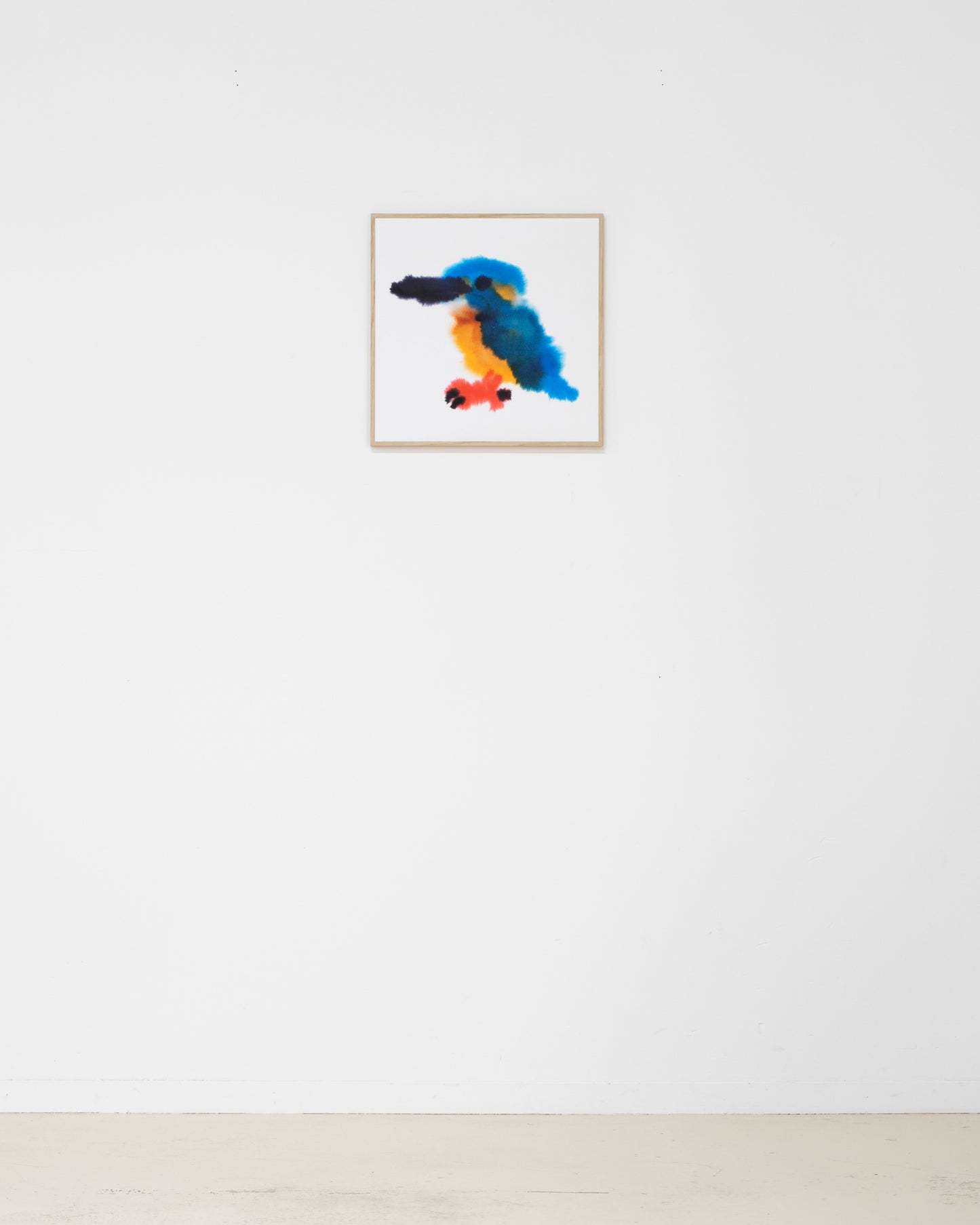 Kingfisher