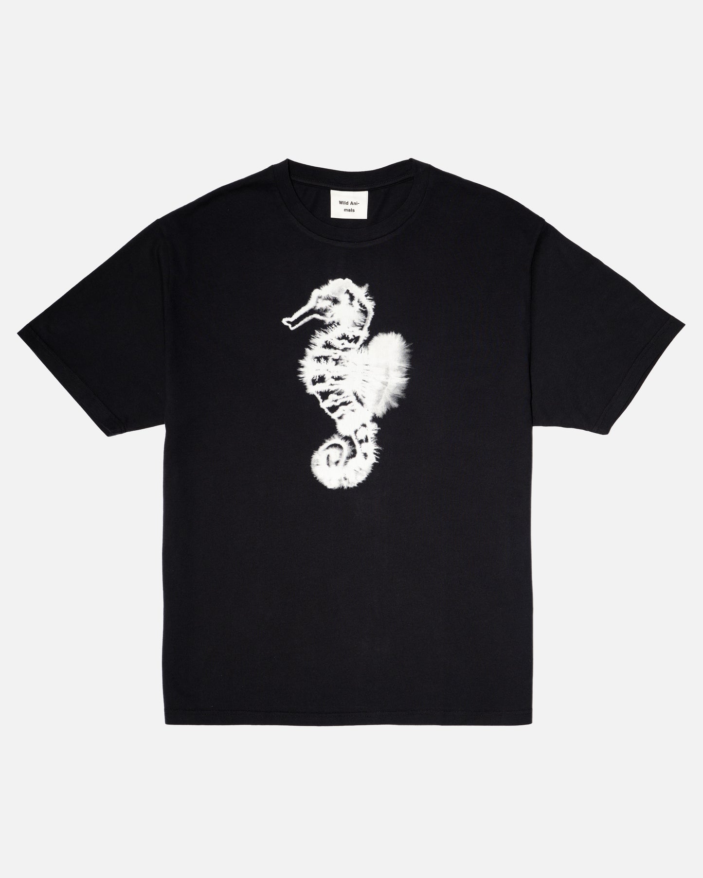 Seahorse