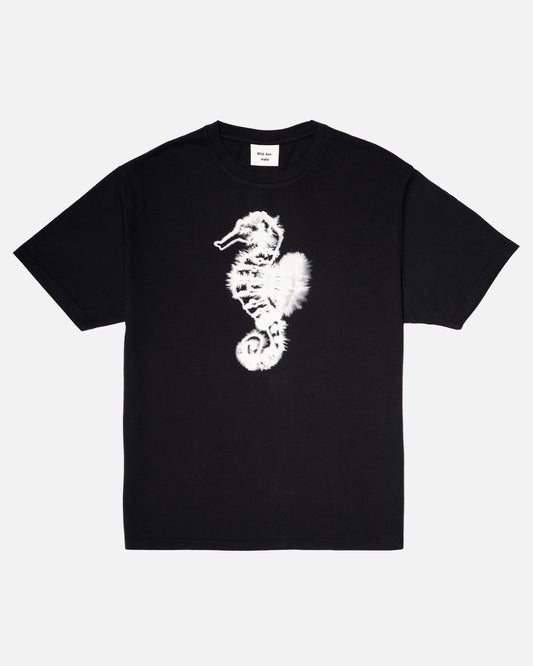 Seahorse