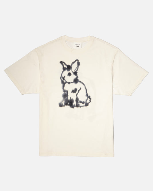 Rabbit, Wolf